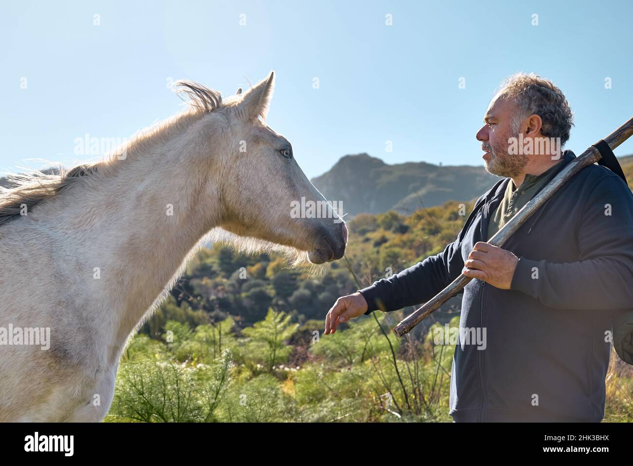 Man meeting animal hi-res stock photography and images - Page 4 - Alamy Man meeting animal hi-res stock photography and images - Page 4 - Alamy