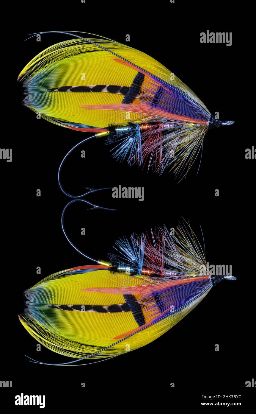 Atlantic Salmon Fly designs 'Shannon' Stock Photo - Alamy