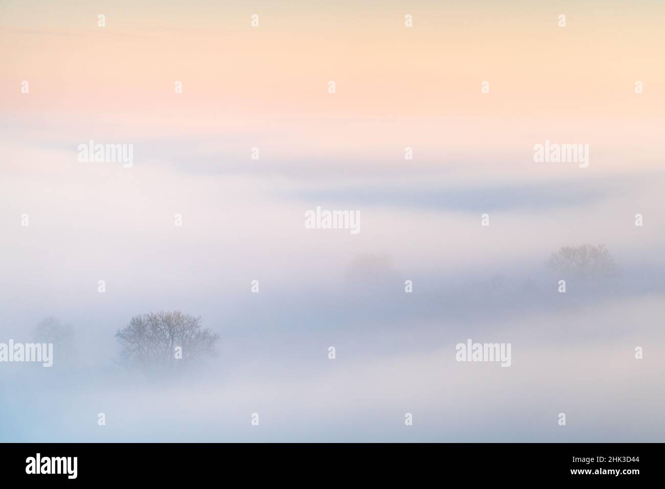 Lonely trees peek through the mist shrouded landscape surrounding Almscliffe Crag during a winter temperature inversion in the Lower Wharfe Valley. Stock Photo