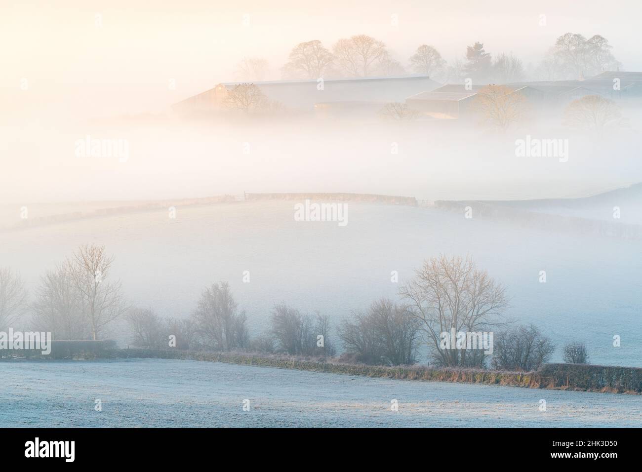 Golden light highlights rural details in the frosty, mist shrouded landscape surrounding Almscliffe Crag on a winter morning in North Yorkshire. Stock Photo