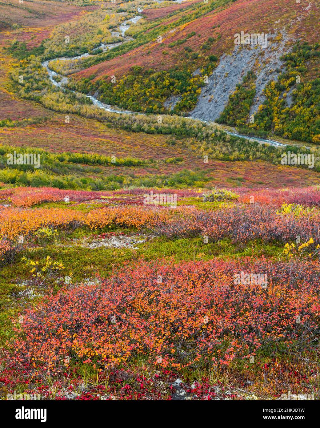 USA, Alaska, Brooks Range. Tundra and Dietrich River. Credit as: Don Paulson / Jaynes Gallery / DanitaDelimont.com Stock Photo