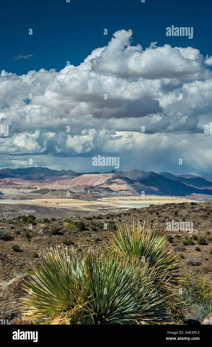Towering cumulus clouds, rain over Morenci copper mine in far dist 12 m N, White Mountains behind, desert spoon, view from Black Hills, Arizona, USA Stock Photo