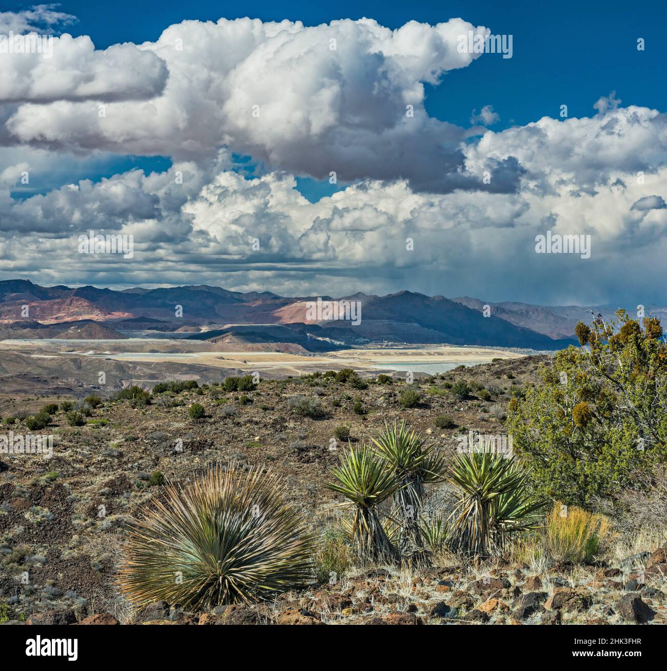 Towering cumulus clouds, rain over Morenci copper mine in far dist 12 m N, White Mountains behind, sotol, yucca, view from Black Hills, Arizona, USA Stock Photo