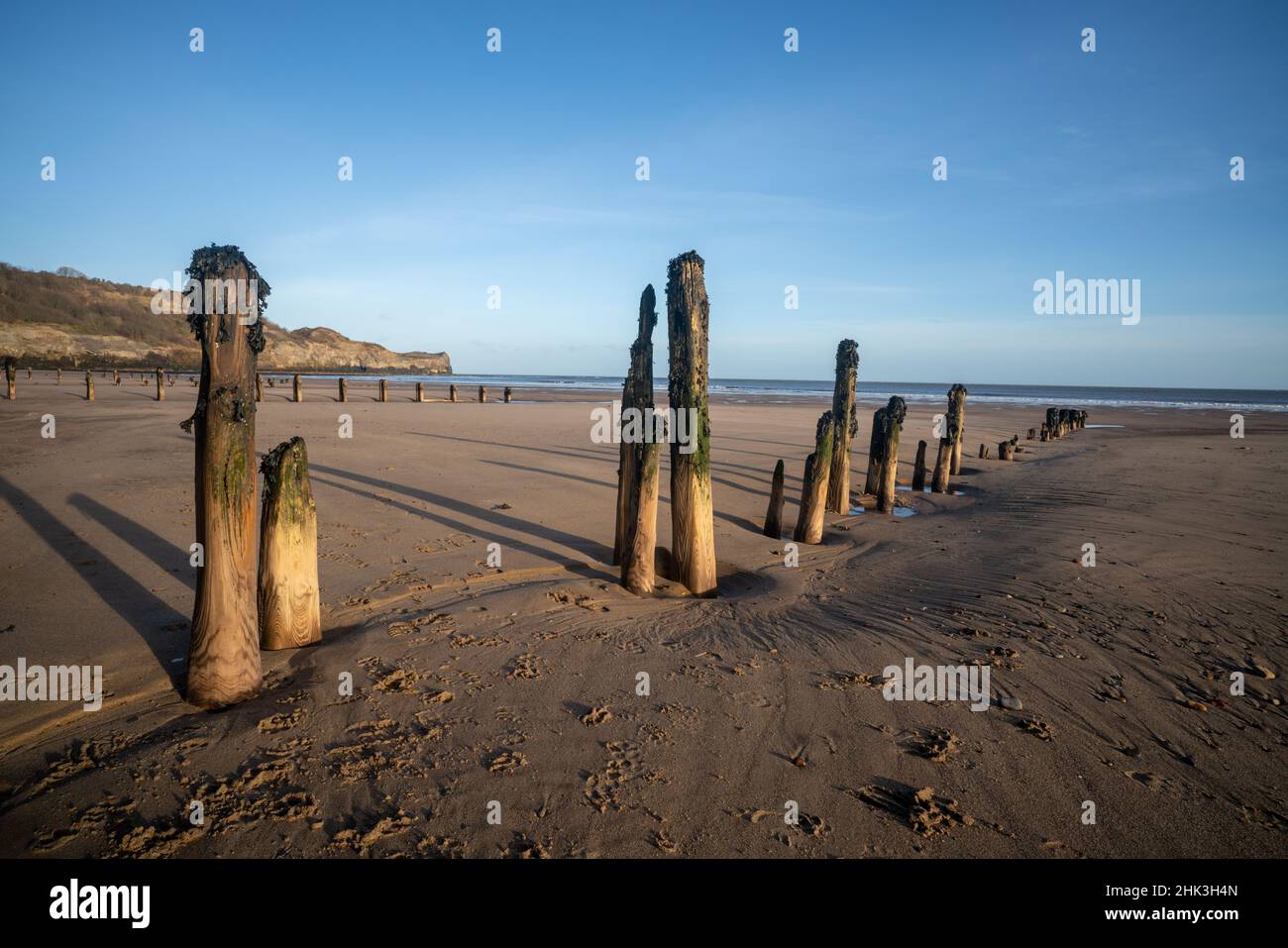 Old worn groynes or breakwaters on Sandsend beach in the early morning, North Yorkshire Stock Photo