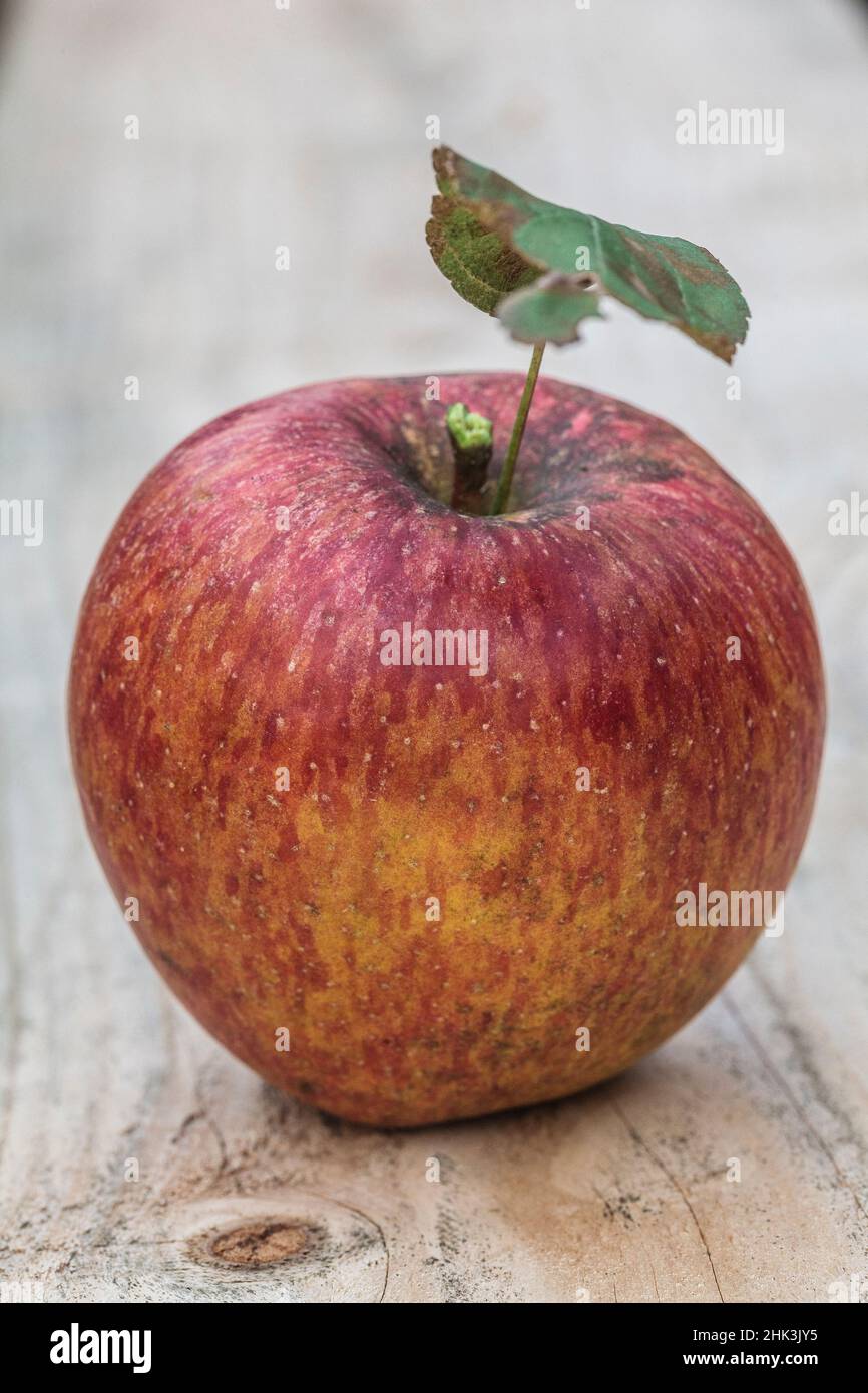 'Braeburn' apple Stock Photo