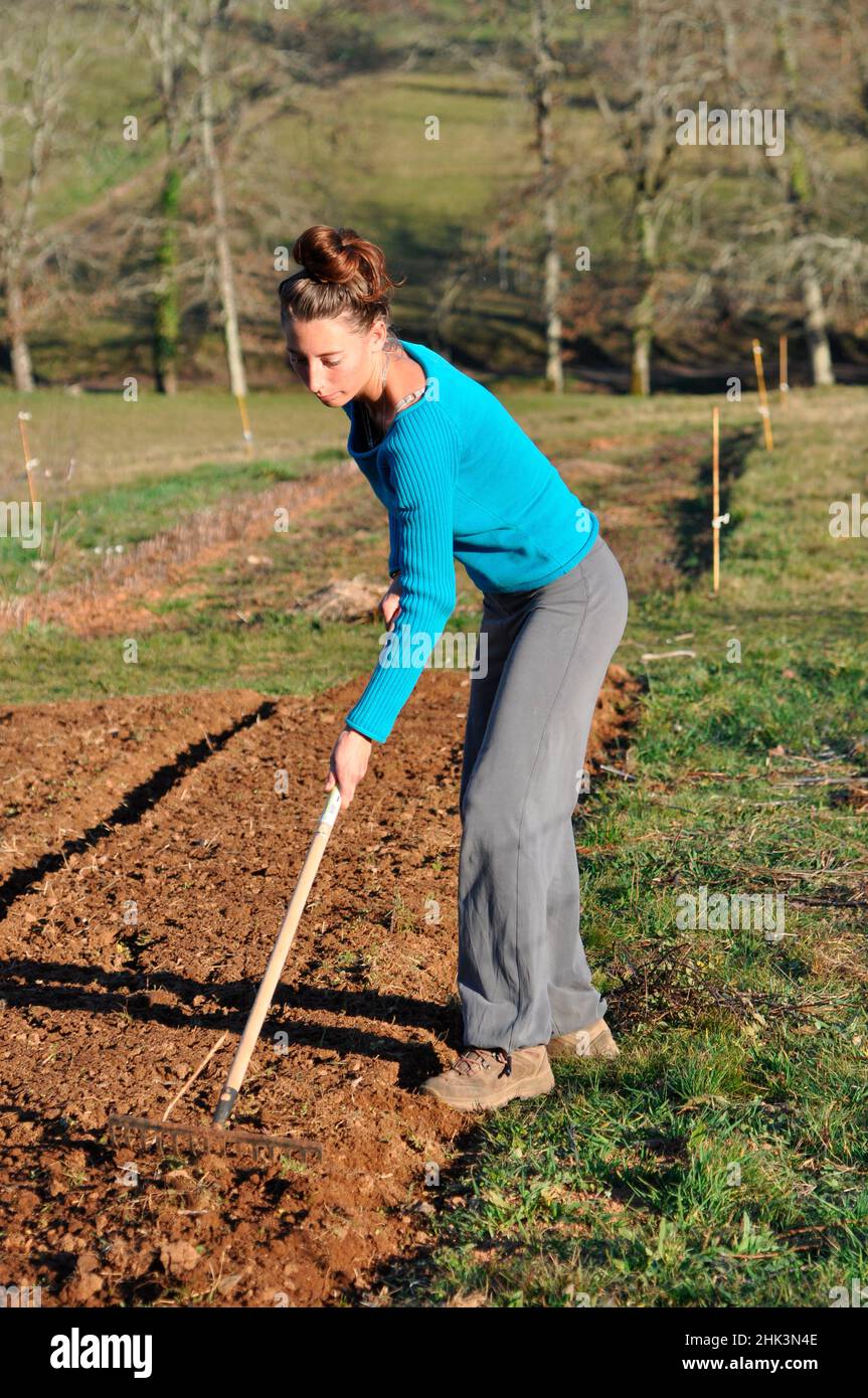 Covering seeds with a rake, Permaculture sowing Stock Photo - Alamy