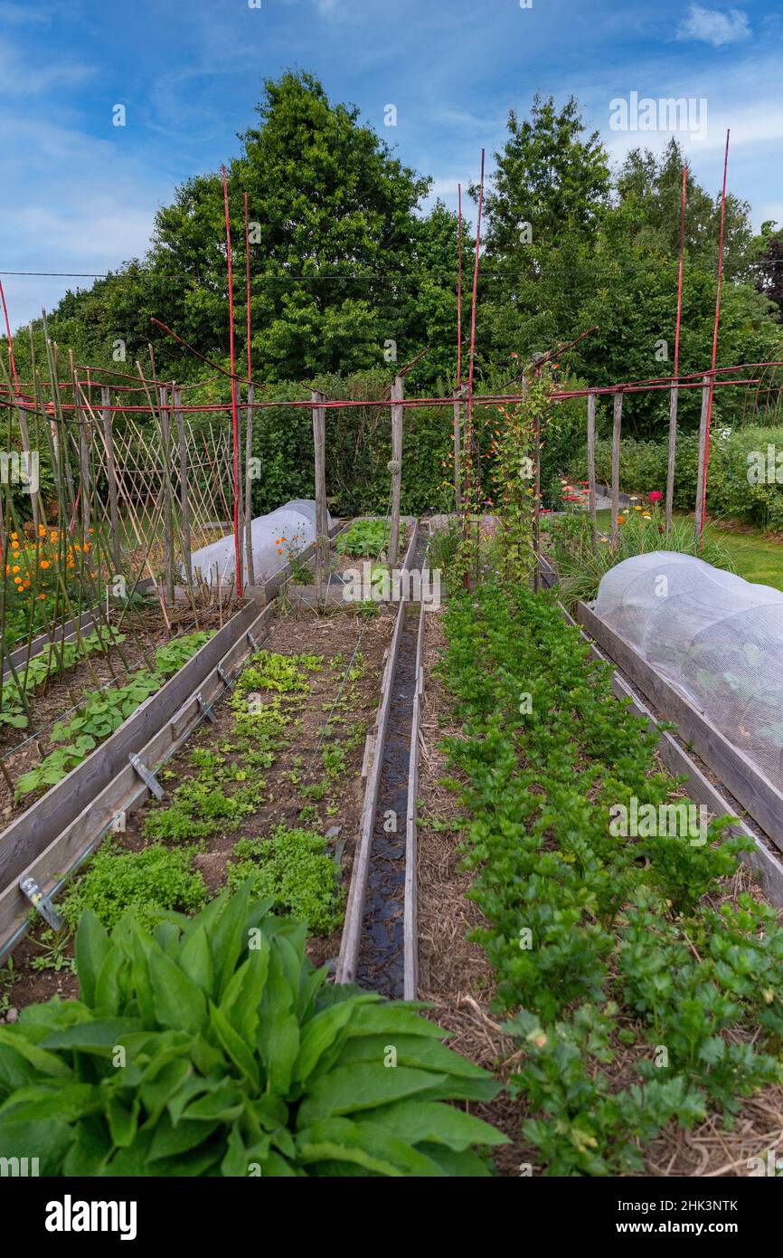 Les jardins Rocambole, Artistic vegetable and botanical gardens in organic farming, A meeting between art and Nature, vegetable garden, cultivation of Stock Photo