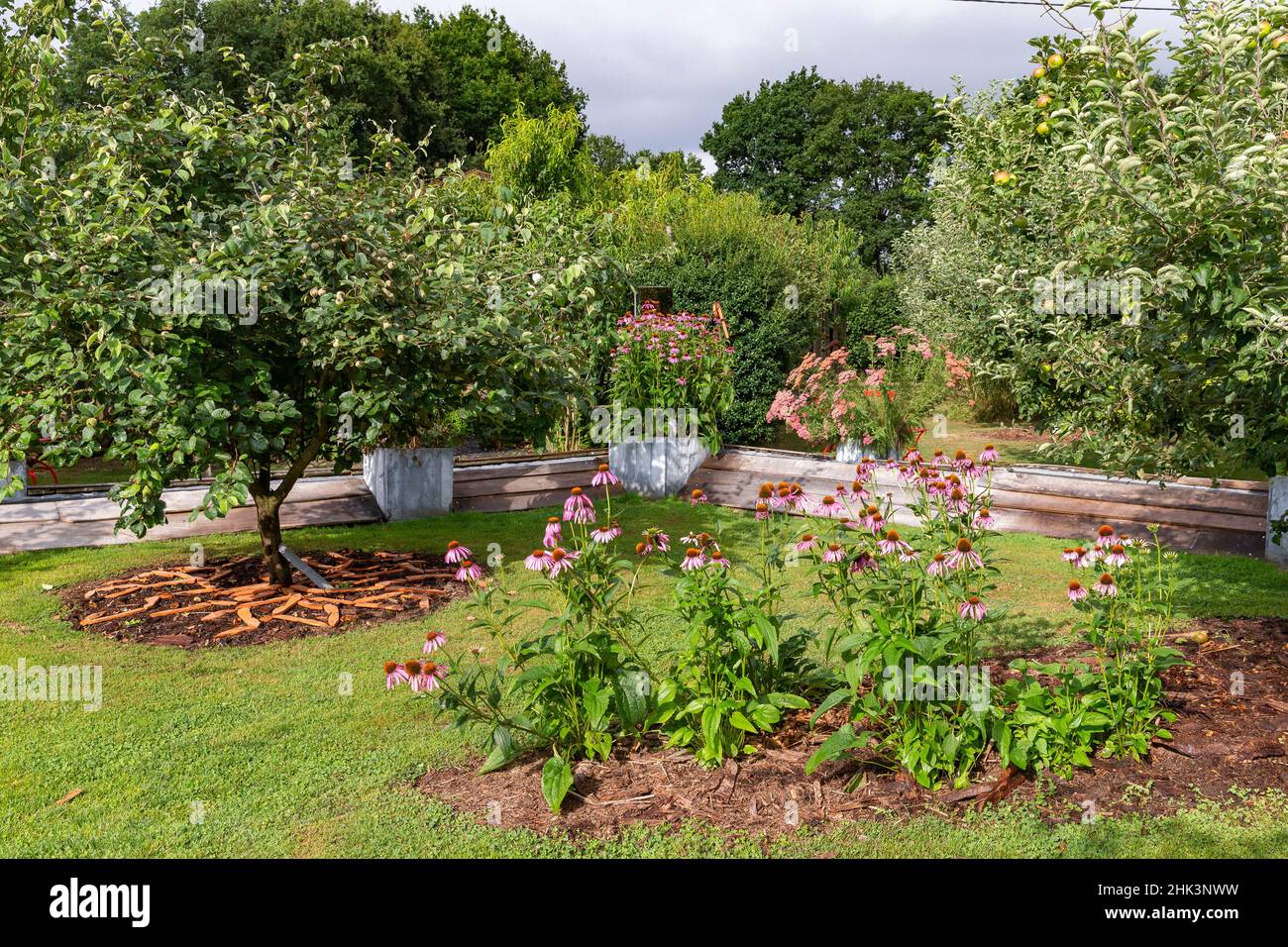 Rocambole gardens, Artistic vegetable and botanical gardens in organic farming, A meeting between art and Nature, flower beds, in flowerbed, La Lande Stock Photo