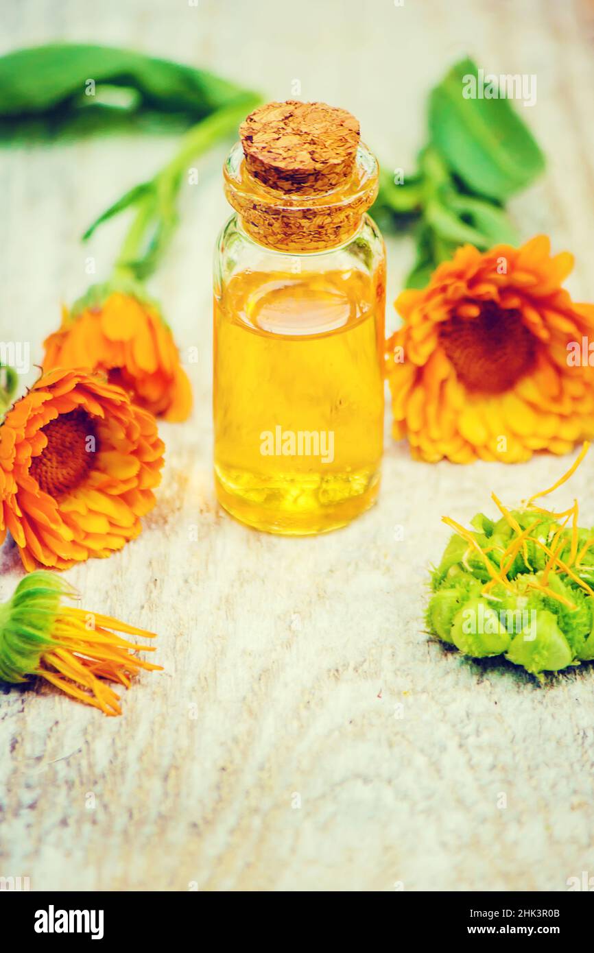 The calendula extract. Medicinal plants. Selective focus Stock Photo