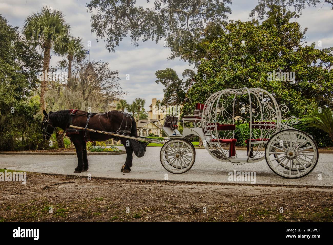 USA, Jekyll Island, A Horse Drawn Carriage Stock Photo Alamy