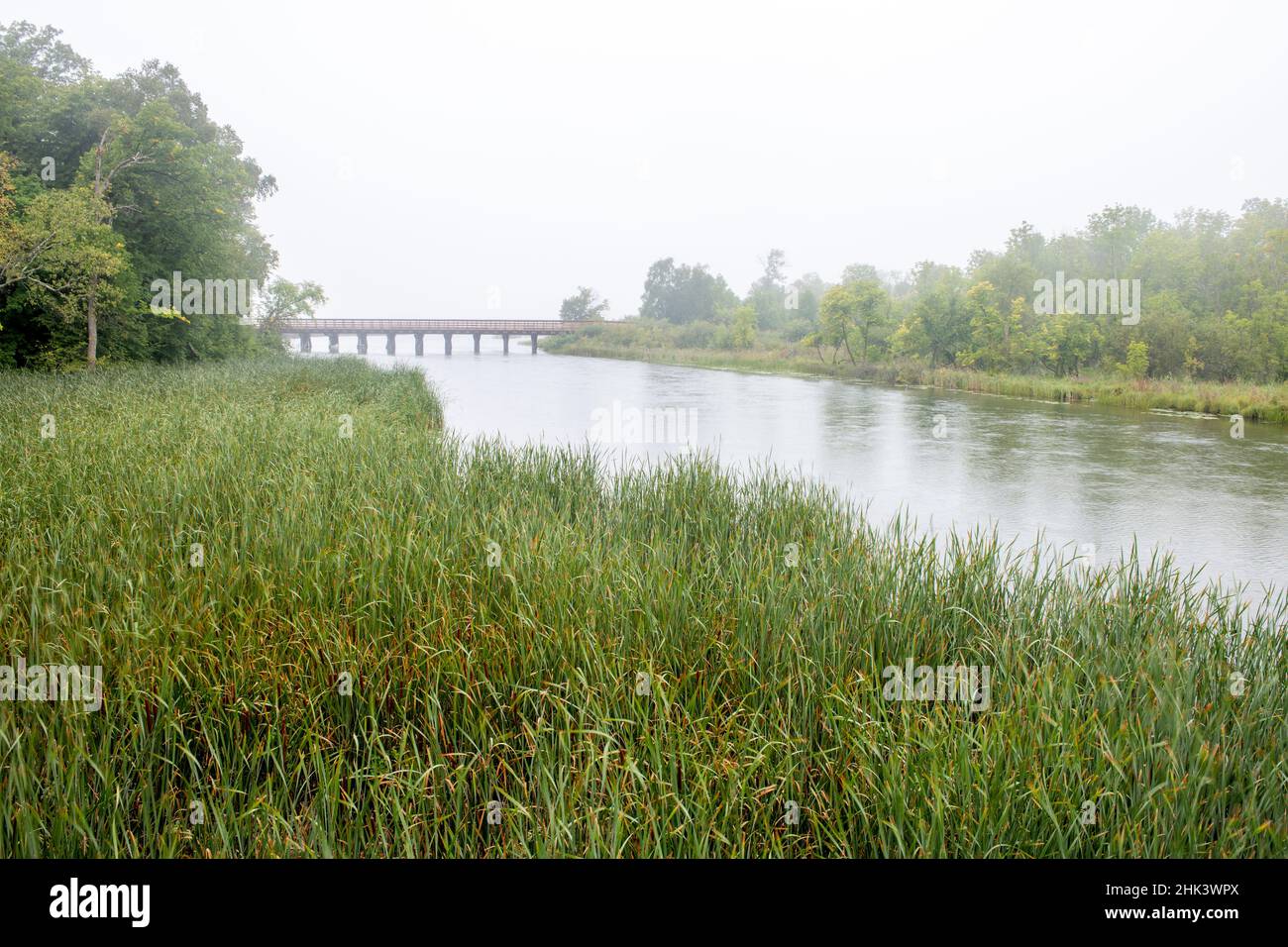 USA, Minnesota, Bemidji, Mississippi River flowing out of Lake Bemidji