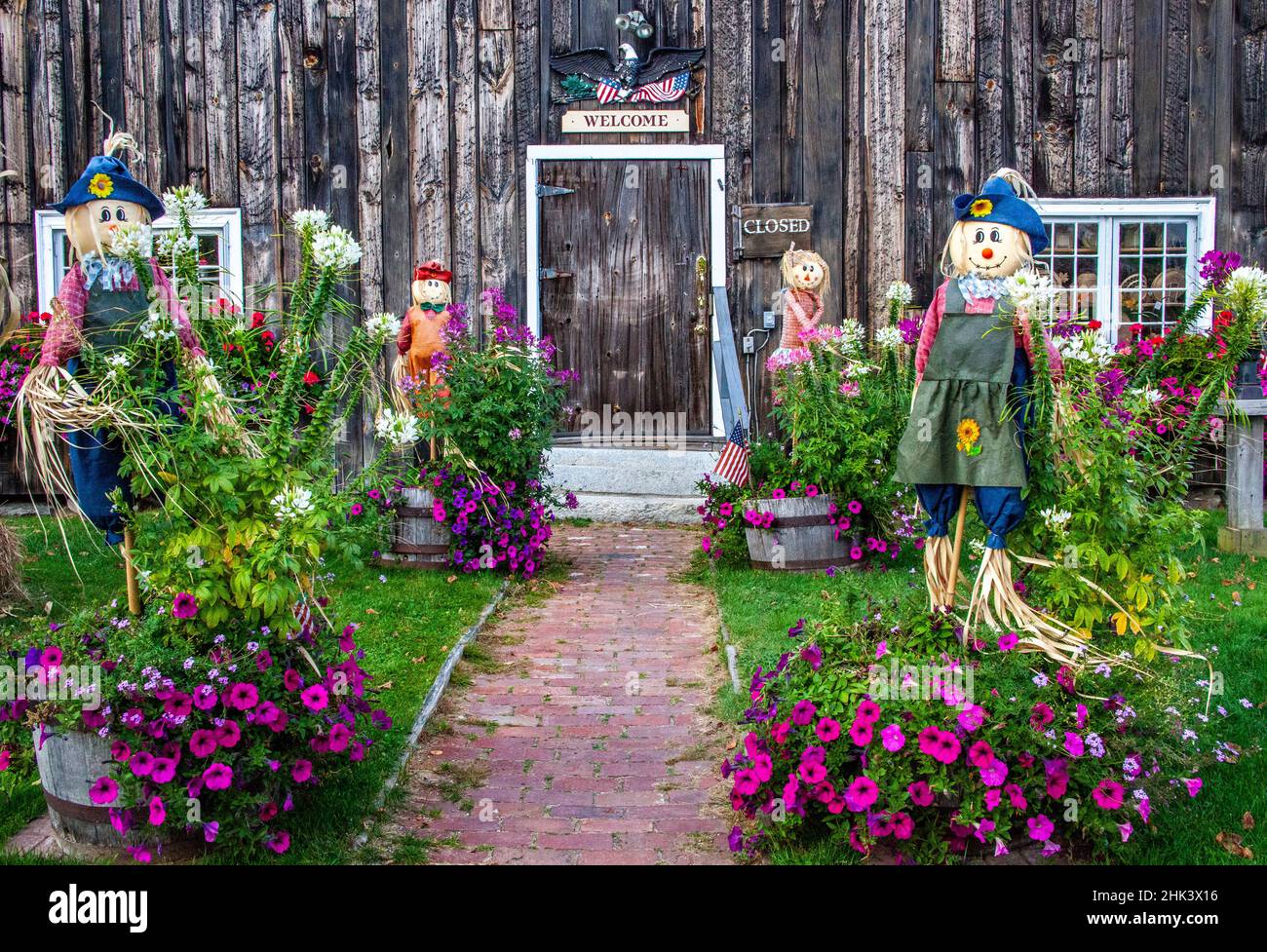 USA, New Hampshire, Sugar Hill with old barn decorated with flowers and theme of Autumn Stock Photo