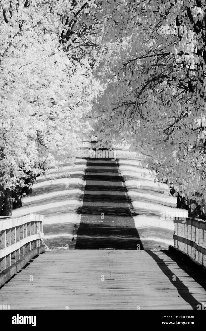 Lined road Black and White Stock Photos & Images - Alamy