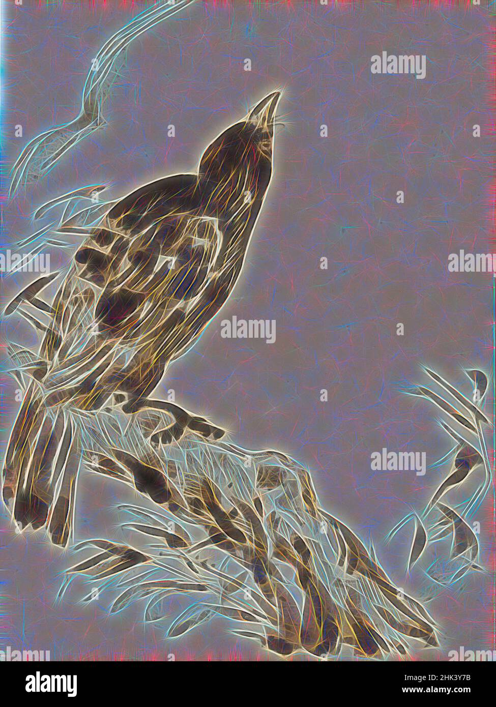 Inspired by Chinoiserie, a bird, James Ensor, circa 1880-1890, drawing, Belgian Art, Reimagined by Artotop. Classic art reinvented with a modern twist. Design of warm cheerful glowing of brightness and light ray radiance. Photography inspired by surrealism and futurism, embracing dynamic energy of modern technology, movement, speed and revolutionize culture Stock Photo