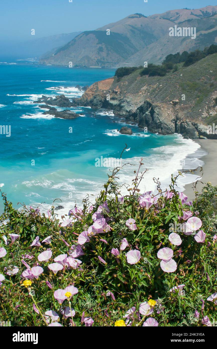 Along the Big Sur Coastline,California Stock Photo - Alamy