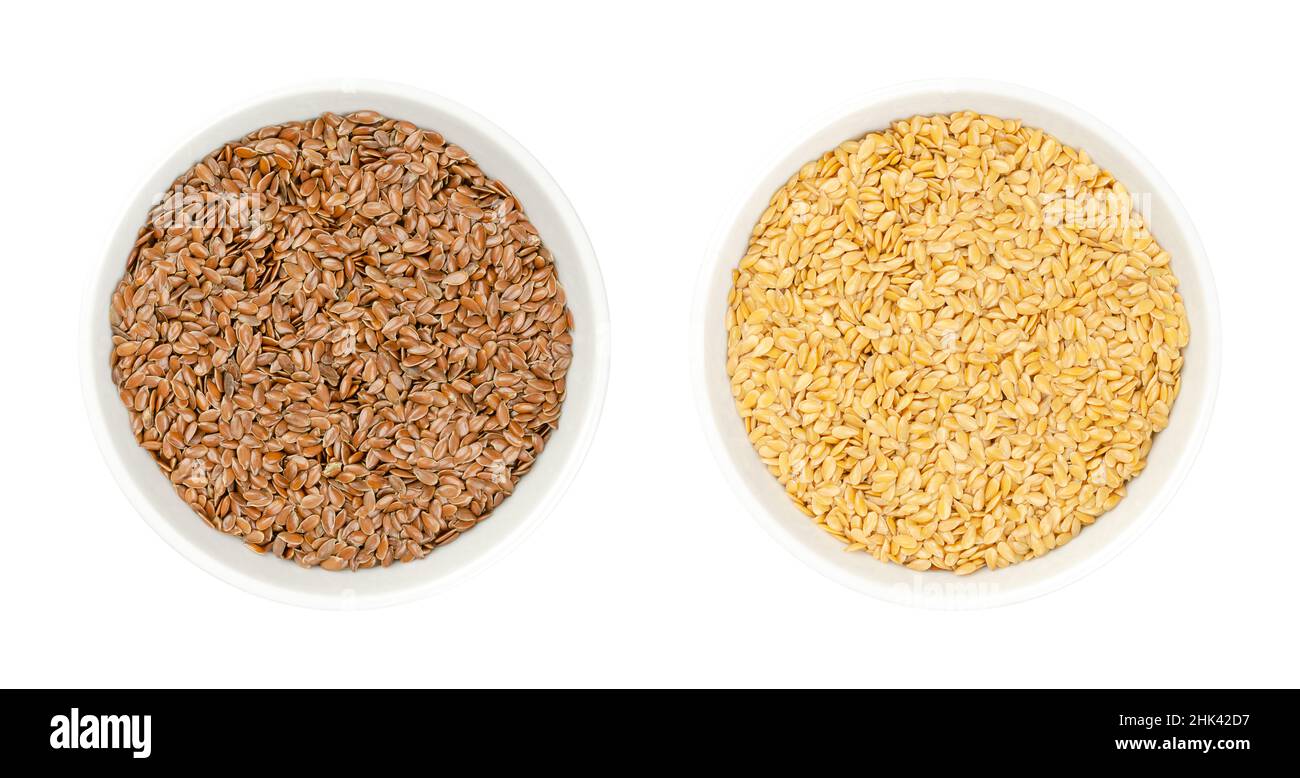 Brown and golden flax seeds, in white bowls. Whole common flax or linseed, Linum usitatissimum, rich in omega-3 fatty acids, a nutritional supplement. Stock Photo