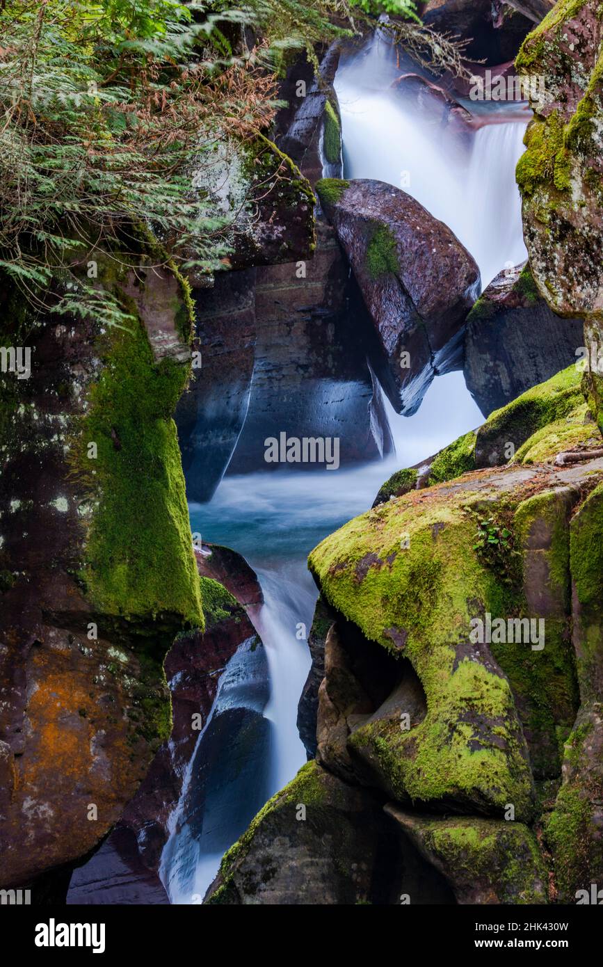 usa-montana-avalanche-creek-glacier-national-park-stock-photo-alamy