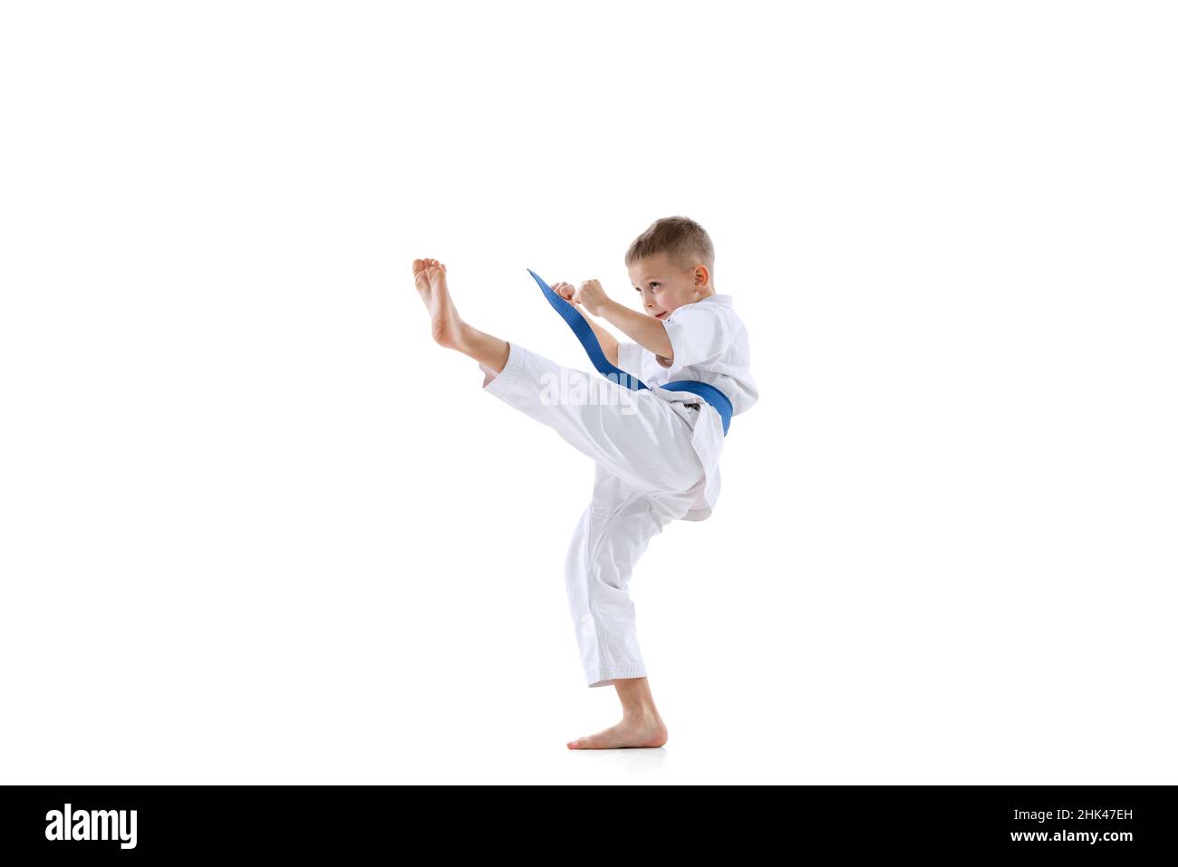 KWON Karate Martial Arts Hand Protector Blue Small 