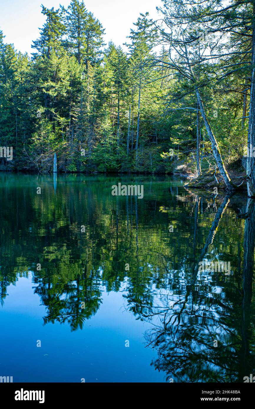 Orcas Island, Washington State, San Juan Islands, scenic, woodland