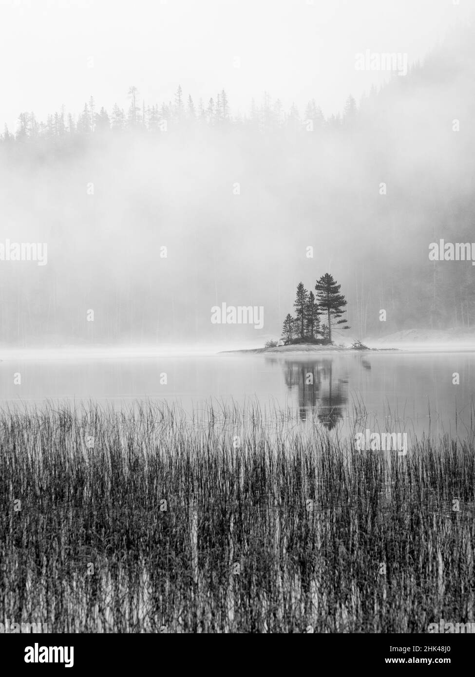 USA, Washington State. Alpine Lakes Wilderness, Snow Lake, island and fog. Stock Photo