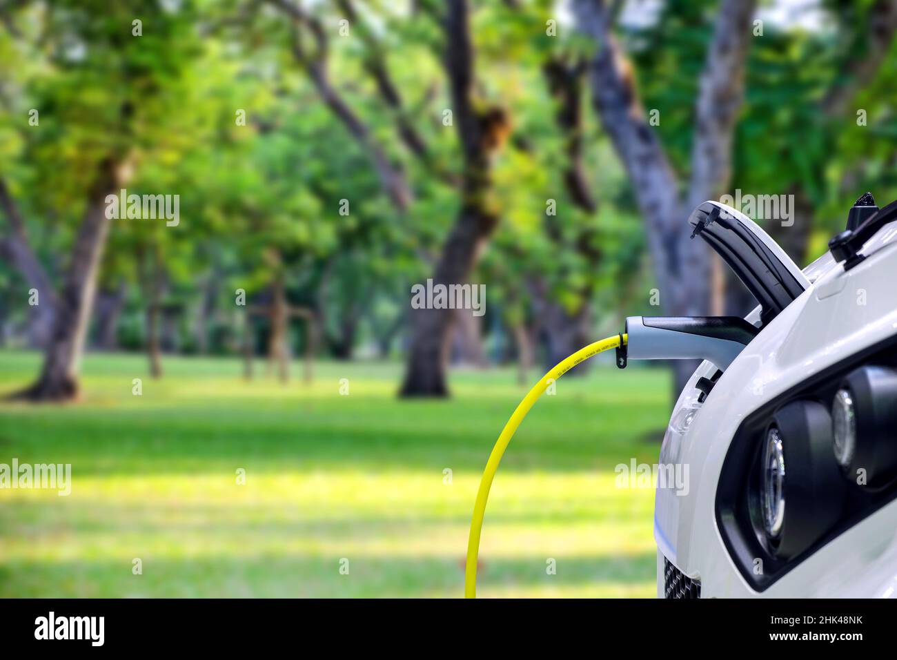 Closeup EV Car charging battery via plug connect of electric charge