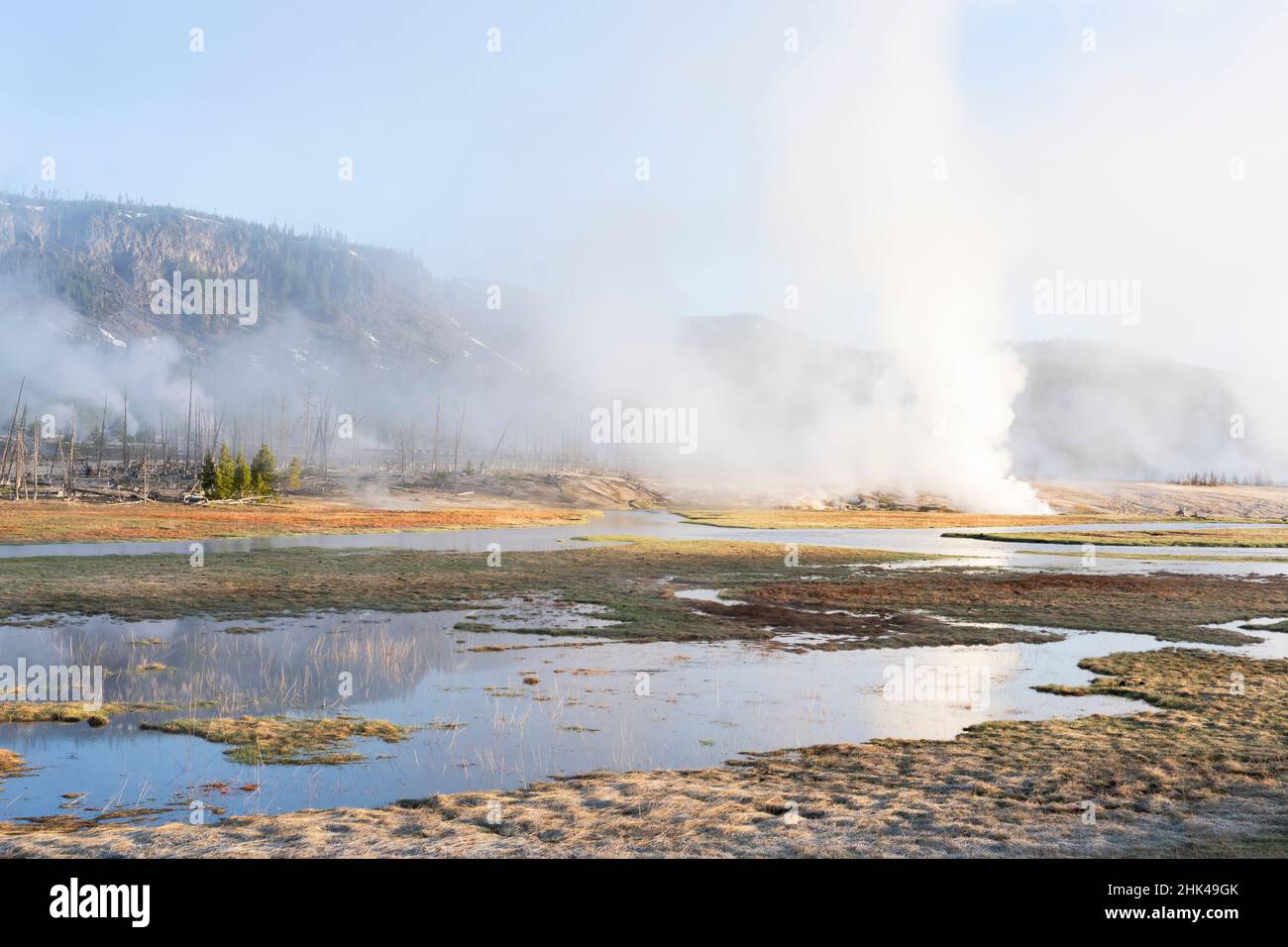 Yellowstone National Park, Black Sand Basin. Steam rising from the geysers and pools found in the Black Sand Basin. Stock Photo