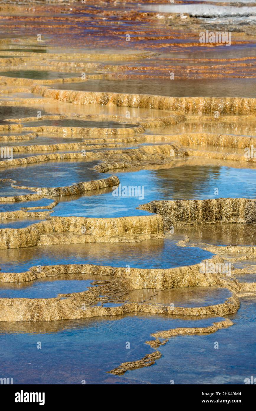 USA, Wyoming. Mineral deposit formation. Mammoth Hot Springs, Yellowstone National Park. Stock Photo