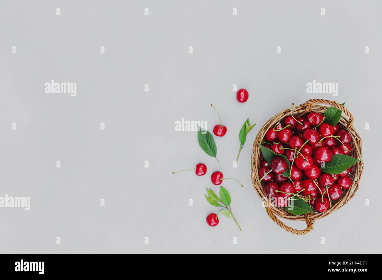 Top view on wicker basket full of big sweet cherries on gray concrete table background. Huge and massive organic cherry berries with green leaves. Copy space area, cultivation, gardening concept Stock Photo