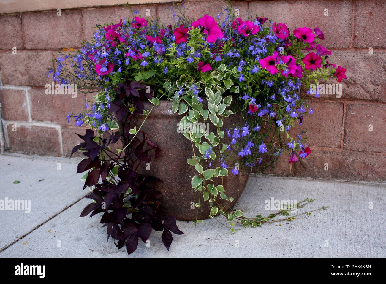 Flower pot in summer in Osceola, Wisconsin Stock Photo Alamy