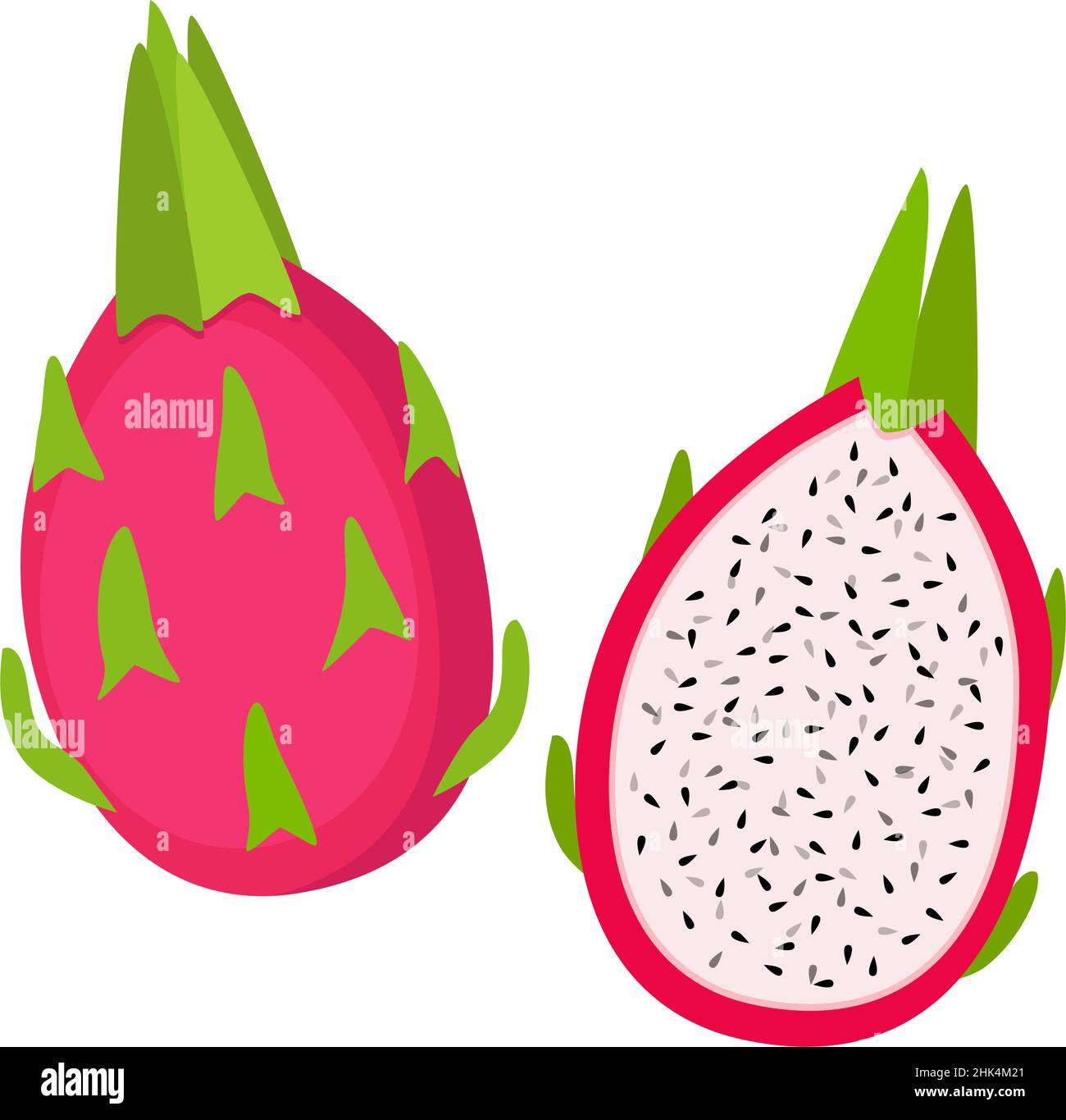 Dragon fruit, whole and half, vector illustration Stock Vector
