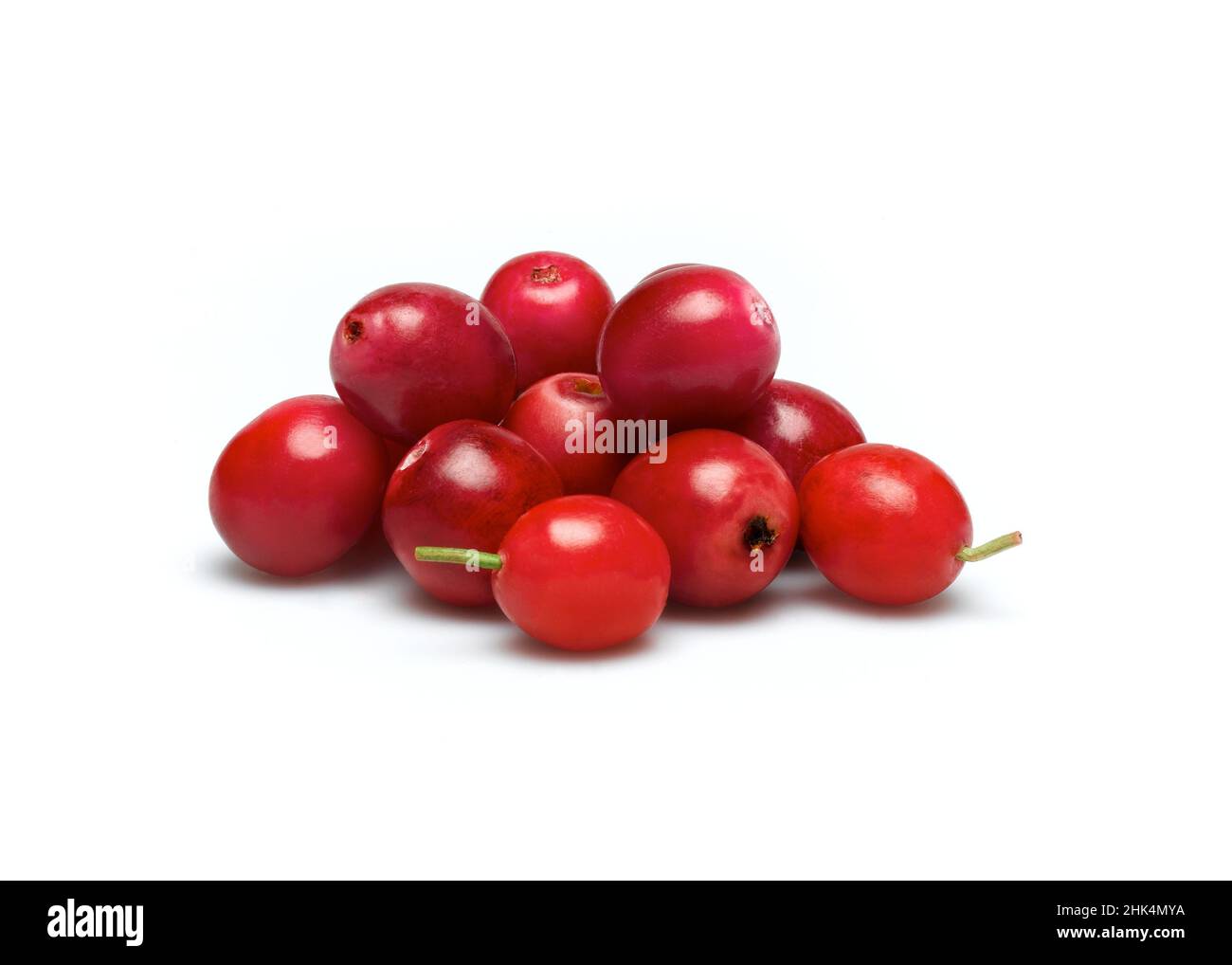 cranberries Stock Photo