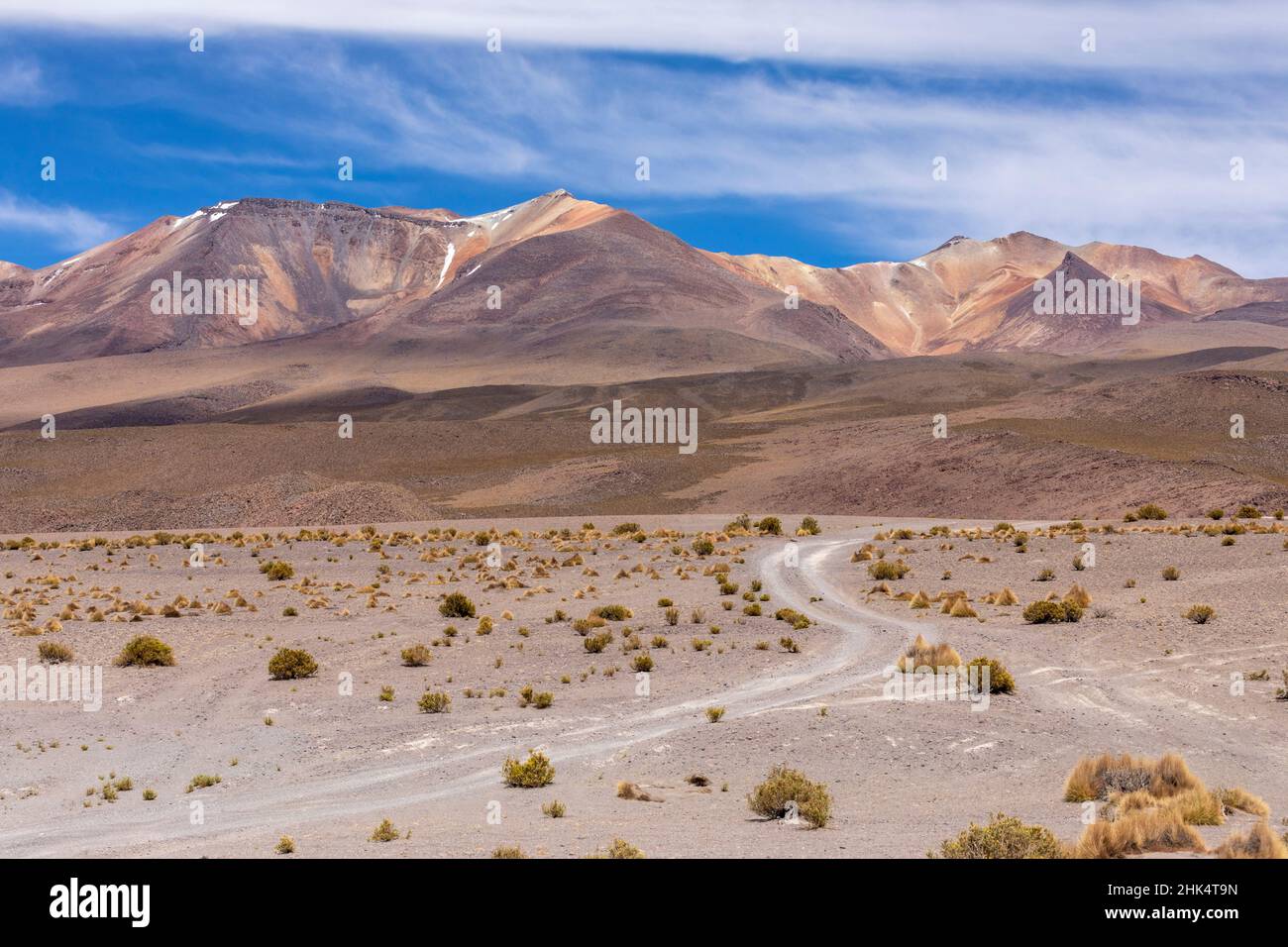 View of the altiplano near Canapa Lake (Laguna Canapa), Potosi Department, southwestern Bolivia, South America Stock Photo
