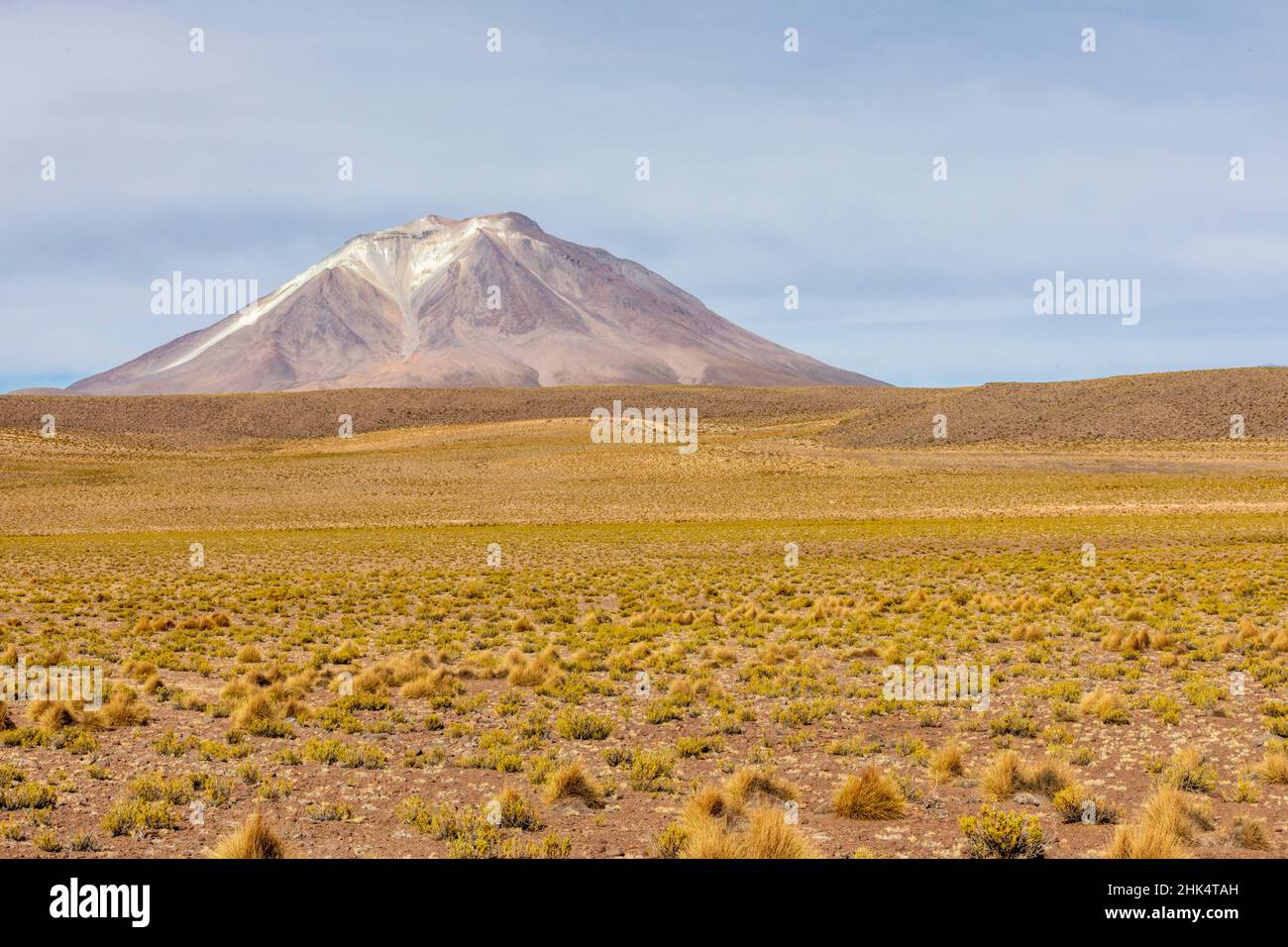 View of the altiplano near Canapa Lake (Laguna Canapa), Potosi Department, southwestern Bolivia, South America Stock Photo