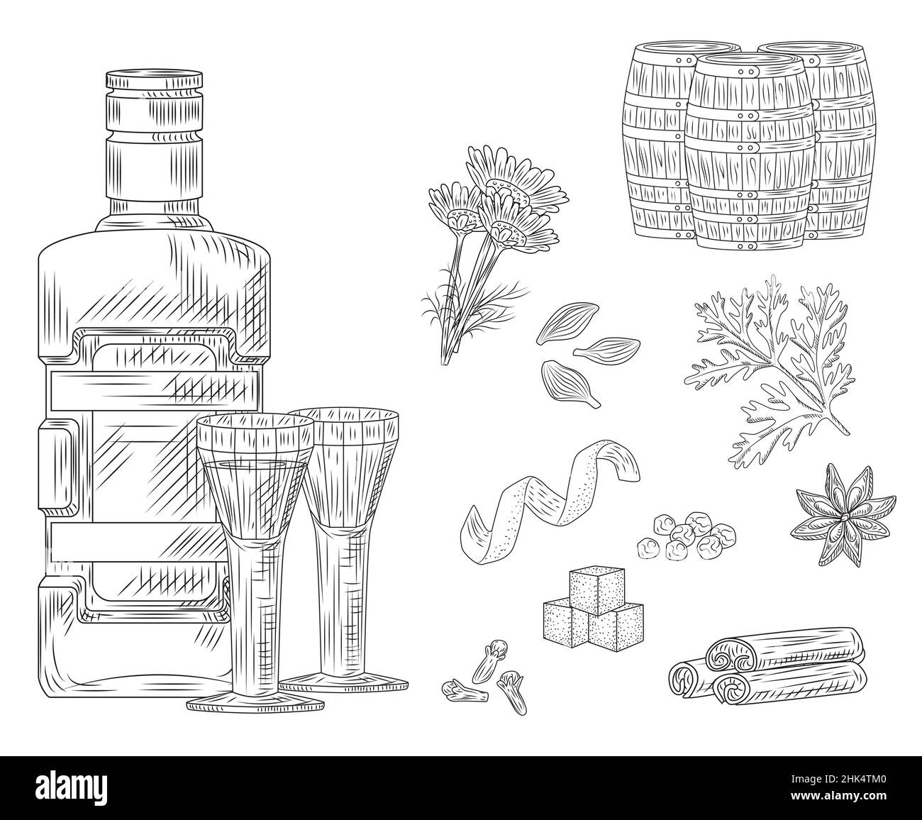 Set of liquor Becherovka. Traditional alcohol Czech Republic. Collection of bottle, glass, chamomile, cardamom, anise, barrels. Elements for restauran Stock Vector