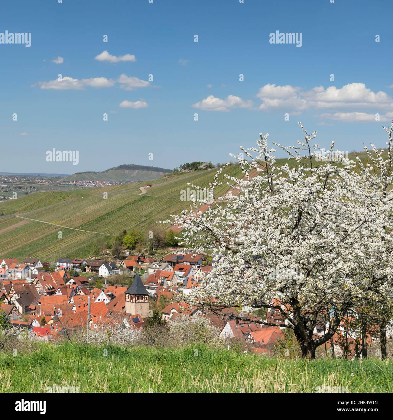 Townscape of Strümpfelbach, Weinstadt, Baden-Württemberg, Germany Stock  Photo - Alamy