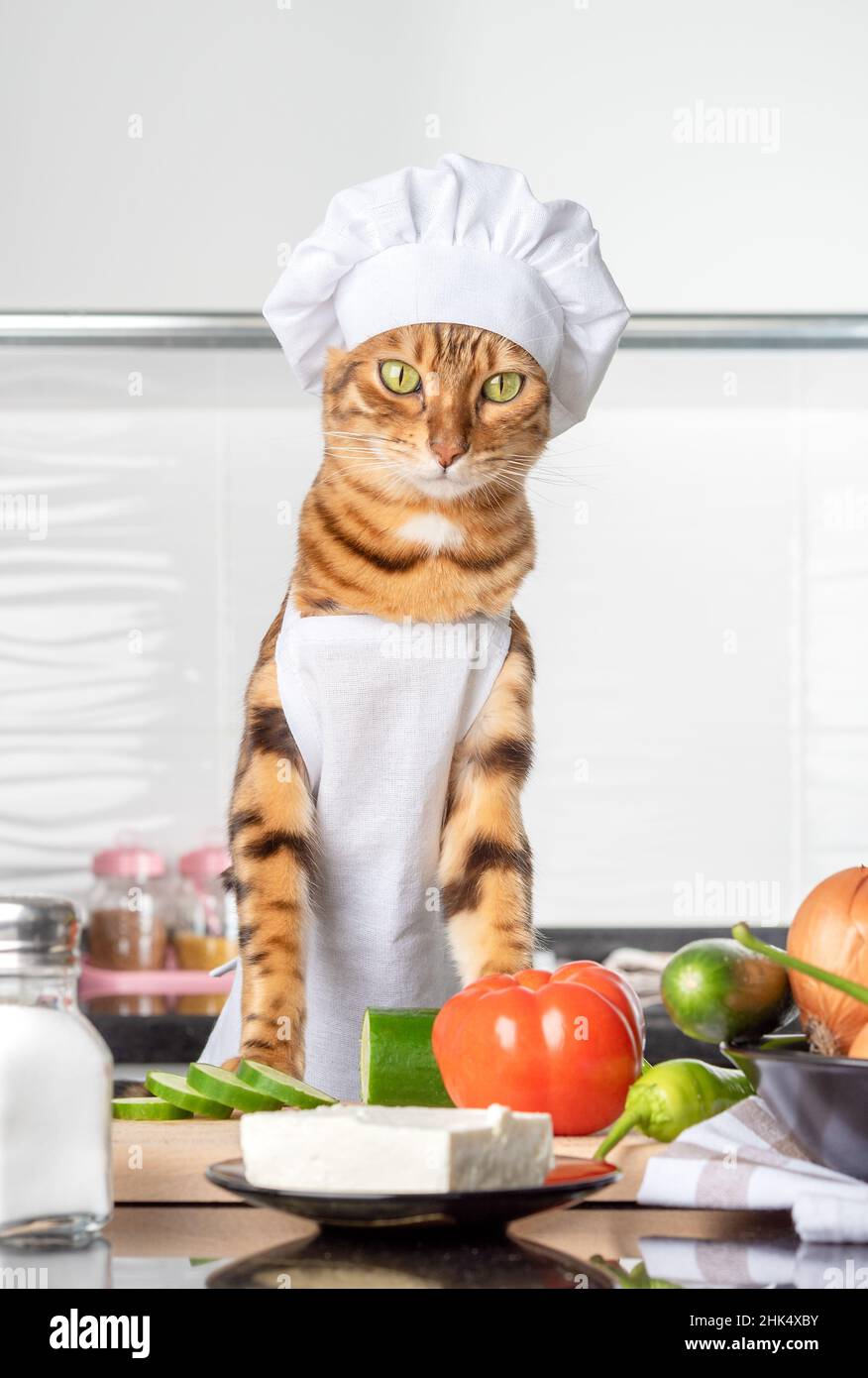 Ginger cat and ingredients for Greek salad. vertical shot Stock Photo