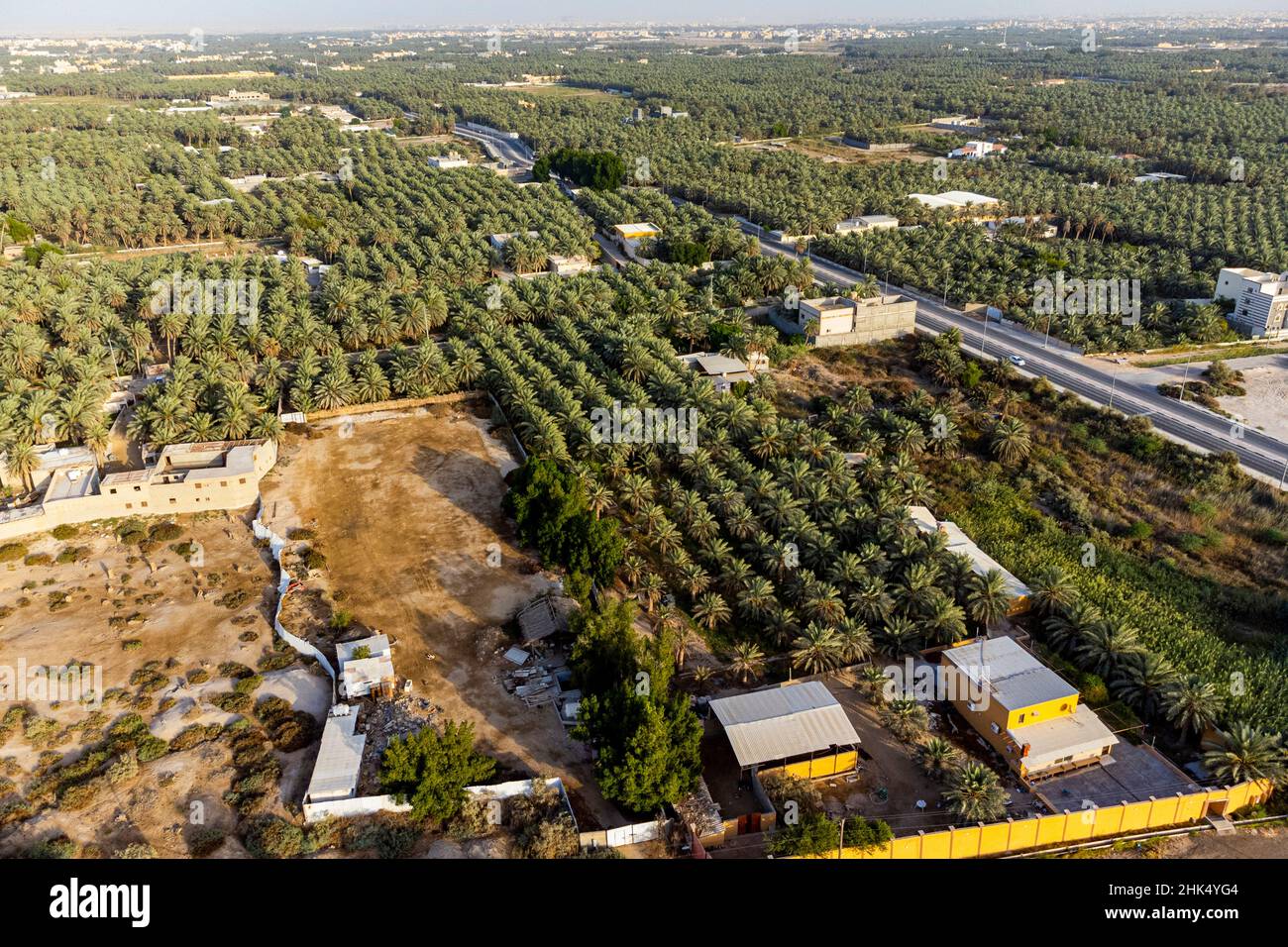 Aerial of the Al Ahsa (Al Hasa) Oasis, UNESCO World Heritage Site, Hofuf, Kingdom of Saudi Arabia, Middle East Stock Photo