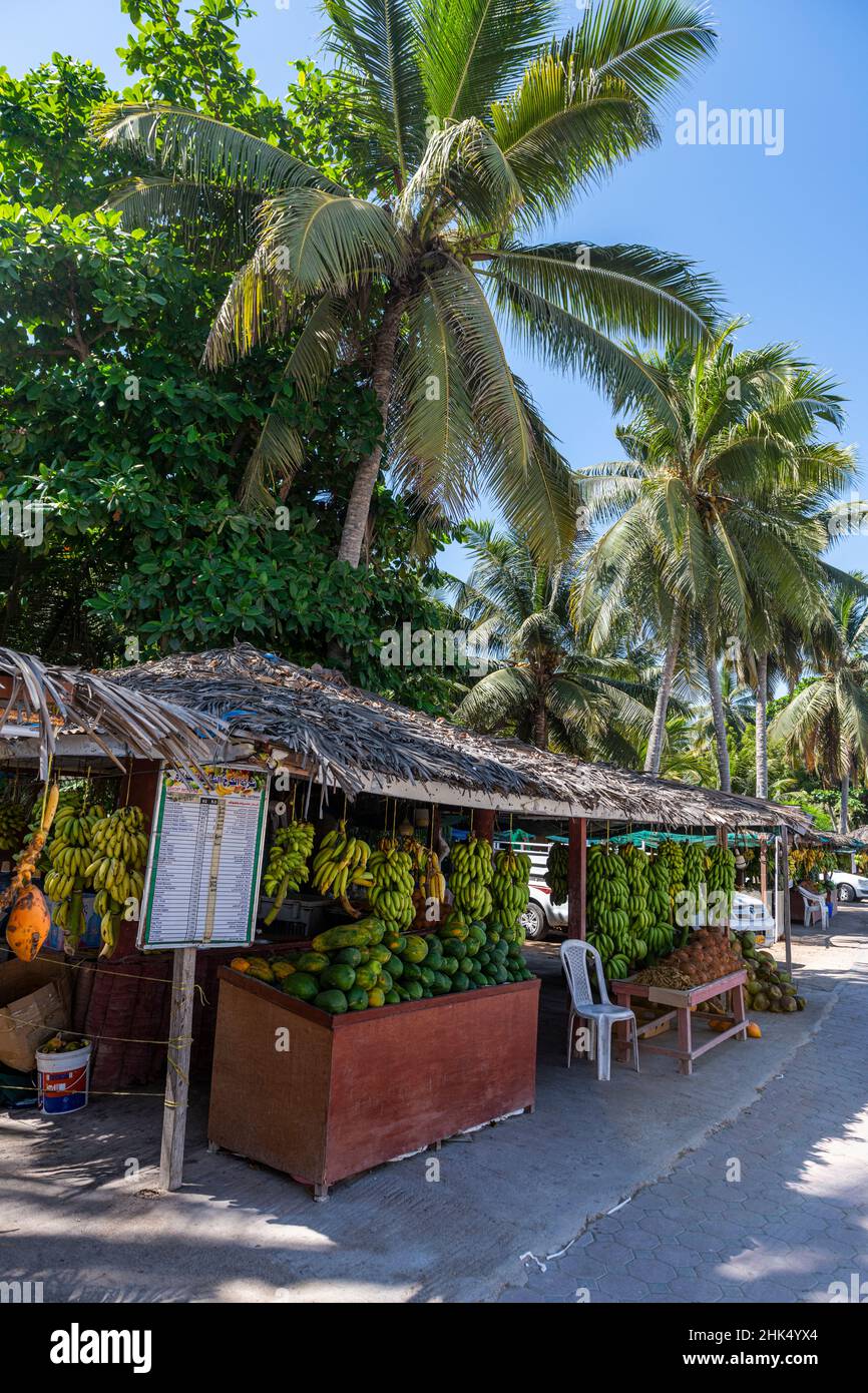 Fresh fruits in the Oasis of Salalah, Oman, Middle East Stock Photo Alamy