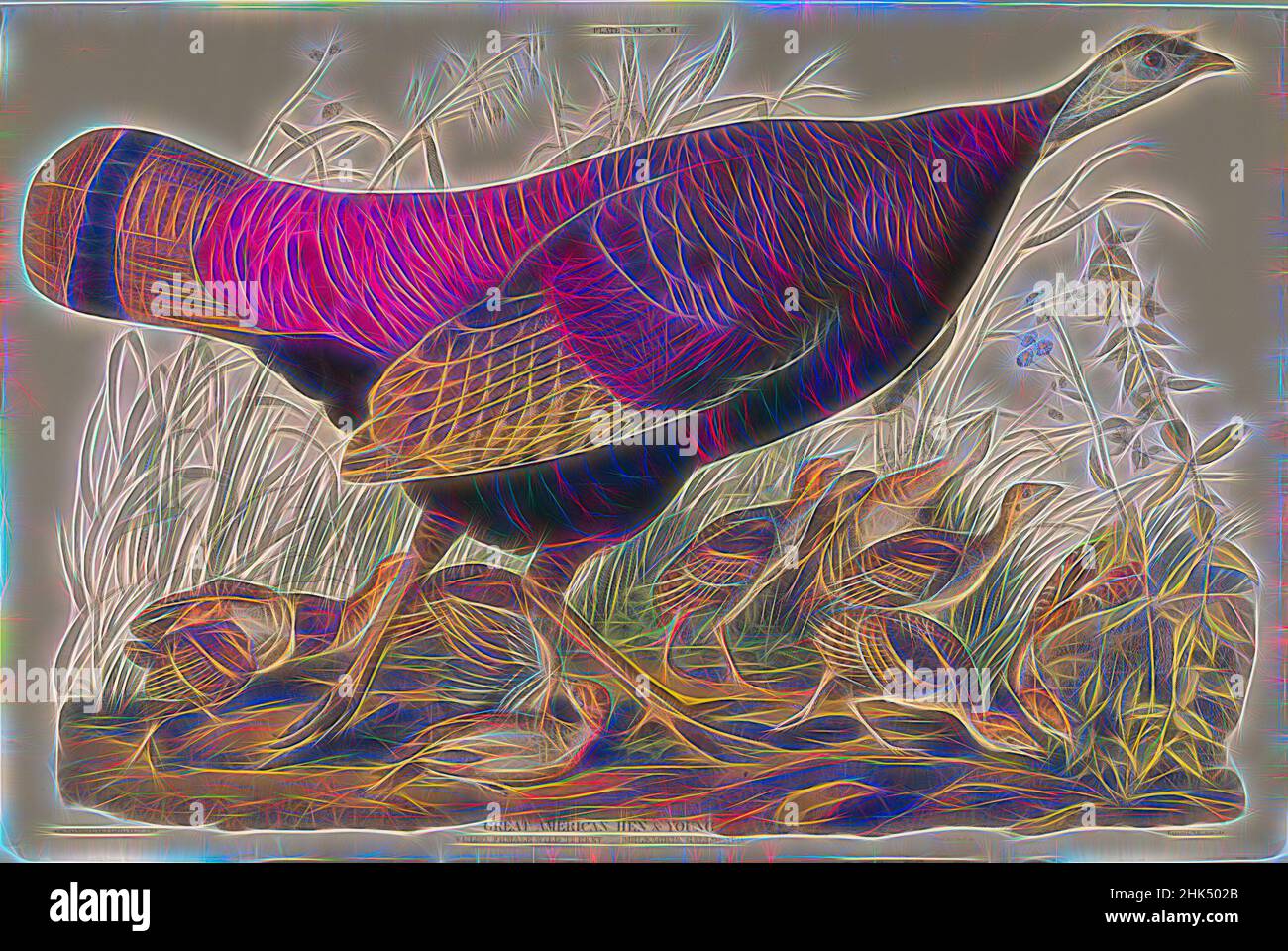 Inspired by Great American Hen and Young, Aquatint, Sheet: 26 1/4 x 39 3/4 in., 66.7 x 101 cm, birds, fauna, fledglings, flora, grasses, mother, nature study, ornithology, Reimagined by Artotop. Classic art reinvented with a modern twist. Design of warm cheerful glowing of brightness and light ray radiance. Photography inspired by surrealism and futurism, embracing dynamic energy of modern technology, movement, speed and revolutionize culture Stock Photo
