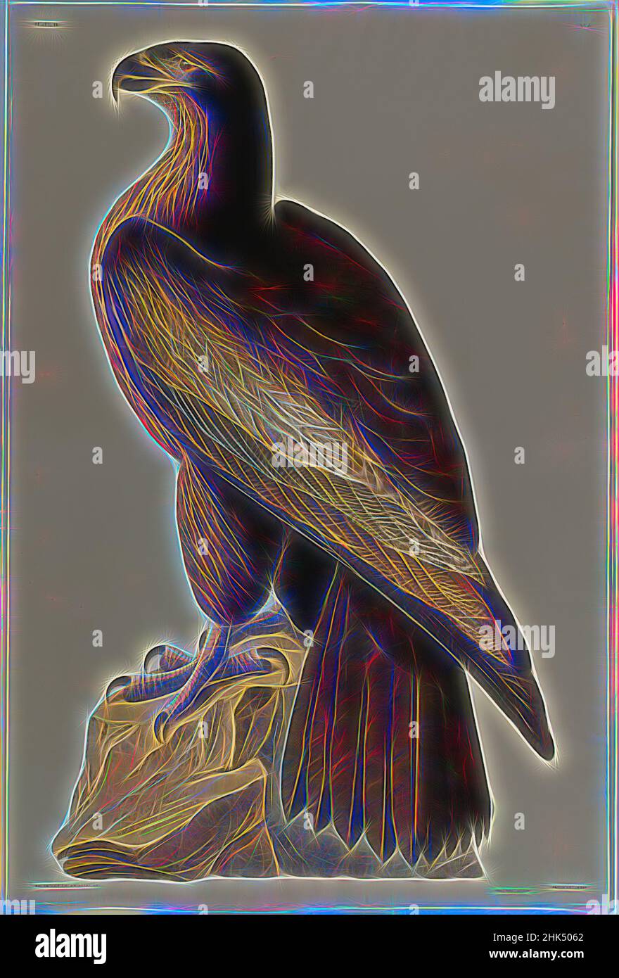 Inspired by Bird of Washington or Great American Sea Eagle, Aquatint, approx.: 27 x 40 in., 68.6 x 101.6 cm, birds, fauna, flora, nature study, ornithology, regal, talons, Reimagined by Artotop. Classic art reinvented with a modern twist. Design of warm cheerful glowing of brightness and light ray radiance. Photography inspired by surrealism and futurism, embracing dynamic energy of modern technology, movement, speed and revolutionize culture Stock Photo