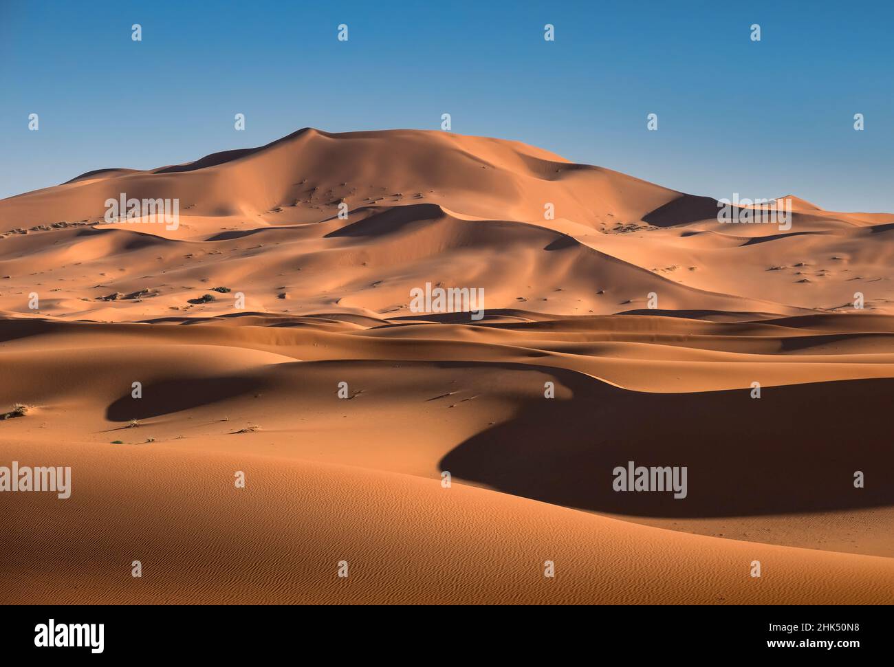 Sand dunes in the Erg Chebbi Desert Dunes, Western Sahara, Morocco, North Africa, Africa Stock Photo