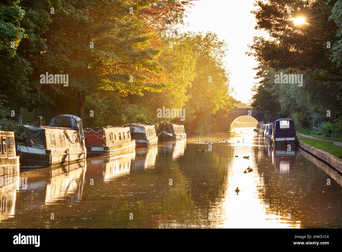 Narrowboats moored on the Kennet and Avon Canal at sunset, Kintbury, Berkshire, England, United Kingdom, Europe Stock Photo