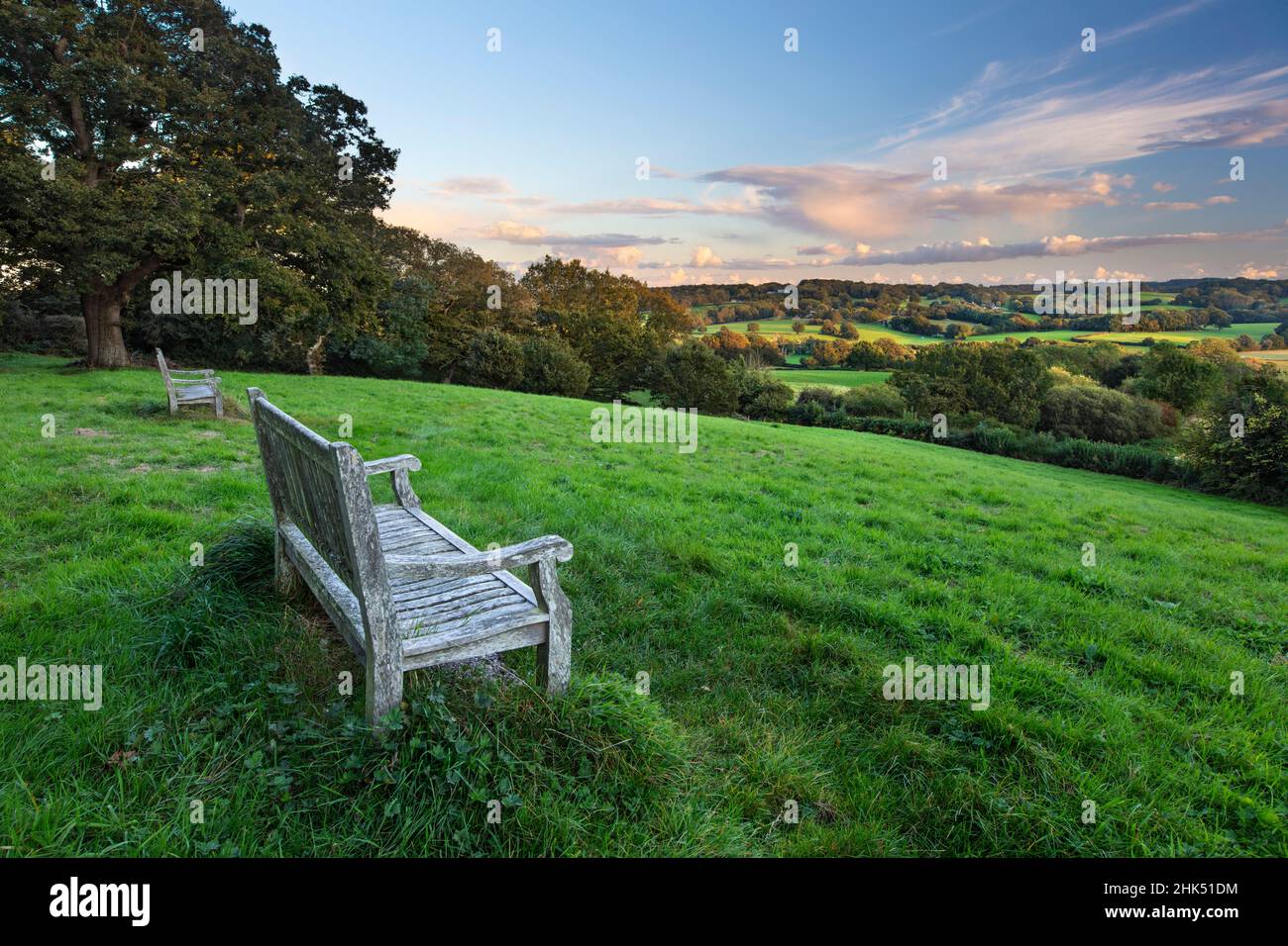 Wooden bench looking over green field countryside of High Weald on summer evening, Burwash, East Sussex, England, United Kingdom, Europe Stock Photo