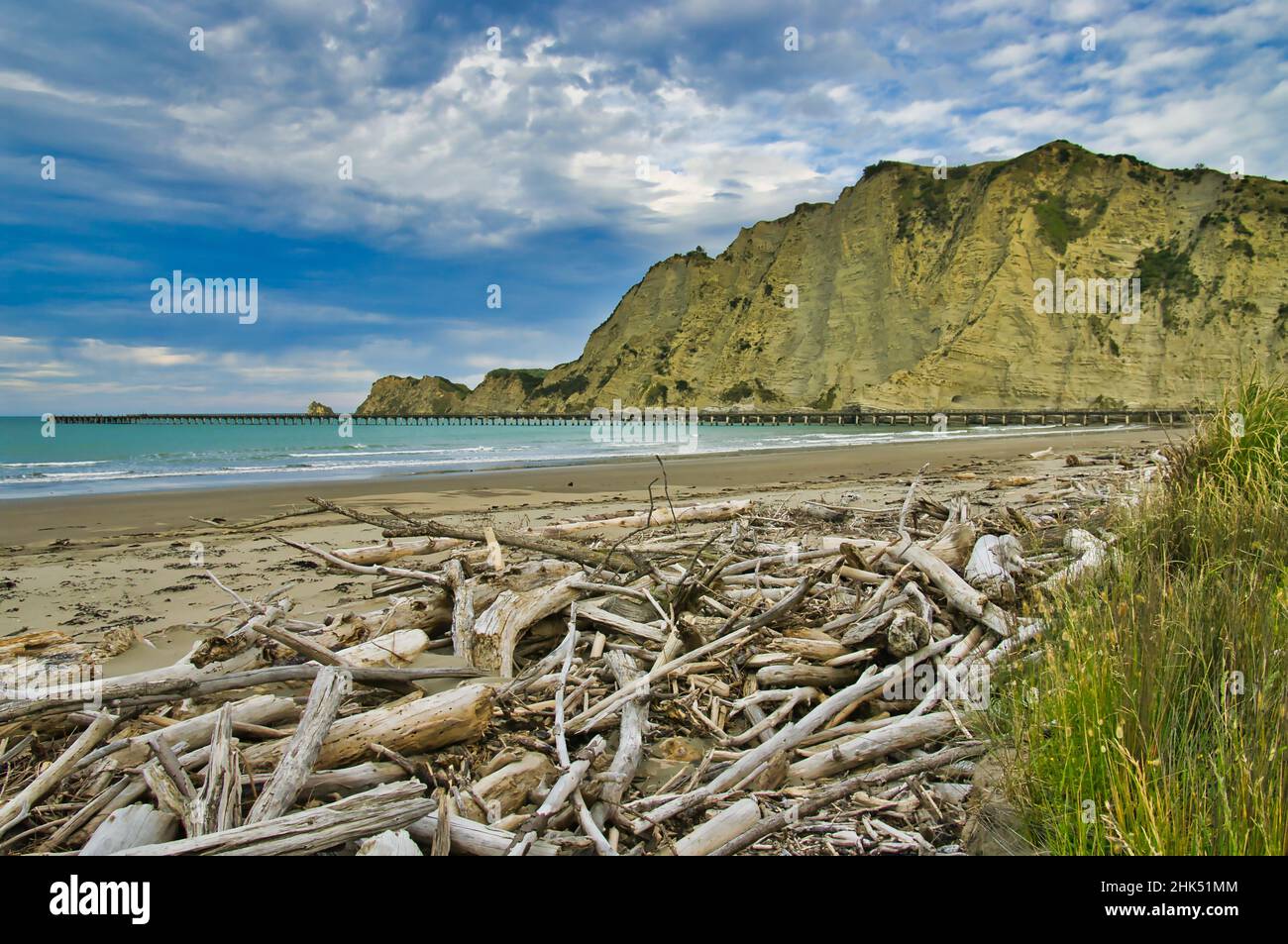Beach with driftwood, high cliffs and the 600 m long wharf of Tolaga