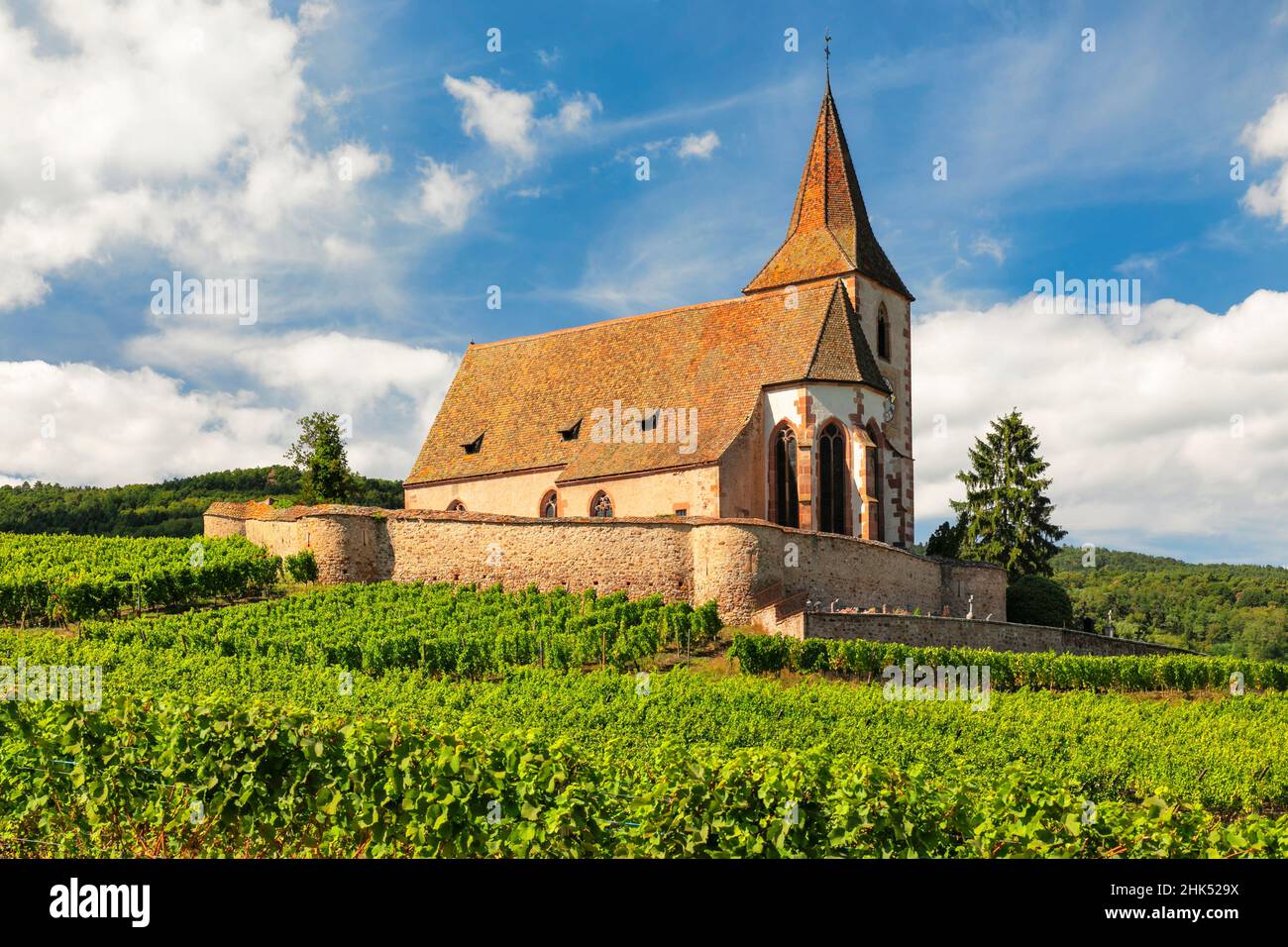 Fortified church of Saint Jacques, Hunawihr, Alsace, Alsatian Wine Route, Haut-Rhin, France, Europe Stock Photo