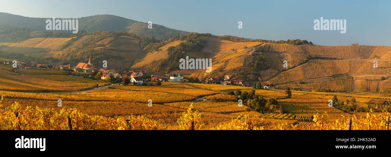 Rodern Route of vine alsatian hi-res stock photography and images - Alamy