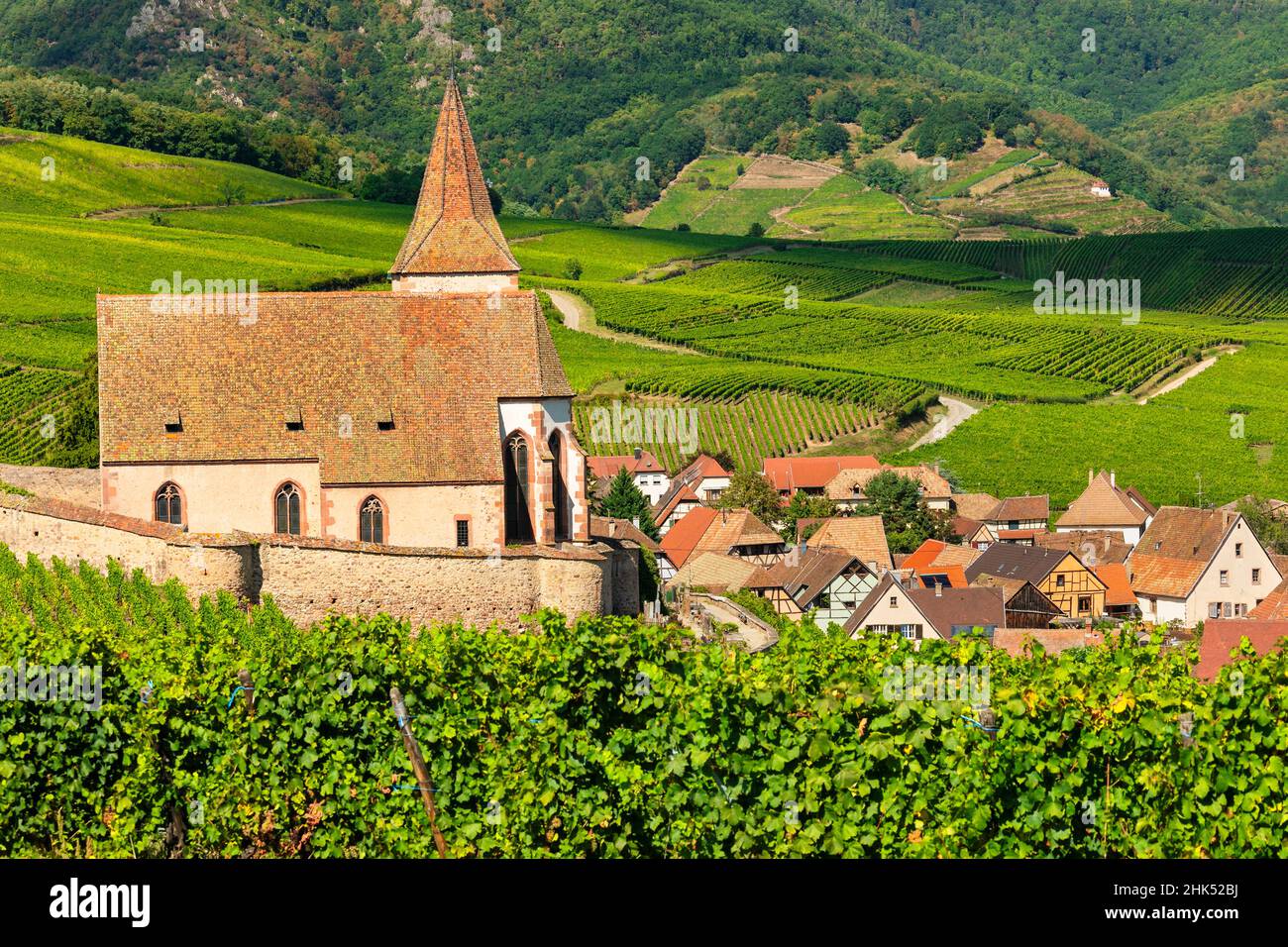 Fortified church of Saint Jacques, Hunawihr, Alsace, Alsatian Wine Route, Haut-Rhin,  France, Europe Stock Photo
