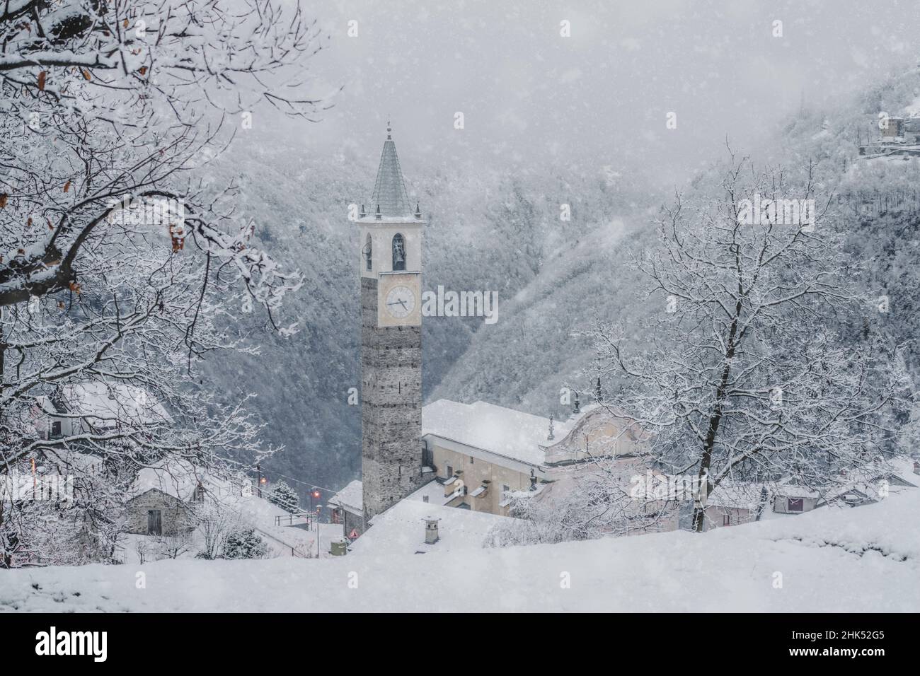 Winter snowfall over trees and old bell tower at Christmas, Sacco, Val Gerola, Valtellina, Sondrio province, Lombardy, Italy, Europe Stock Photo
