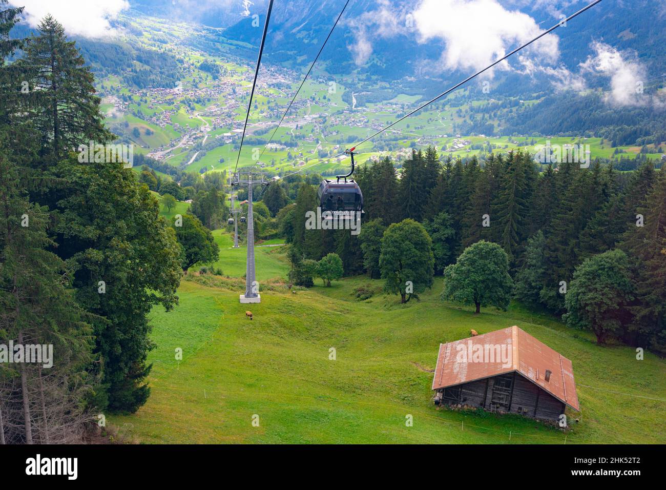 Cable car uphill among green alpine meadows and forest, Grindelwald, Mannlichen, Jungfrau Region, Bern Canton, Swiss Alps, Switzerland, Europe Stock Photo