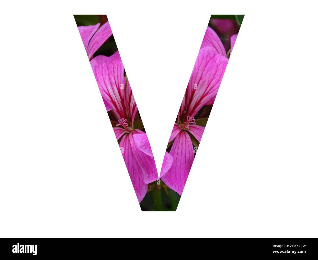 Initial Letter Logo LV Company Name Blue and Magenta Color on